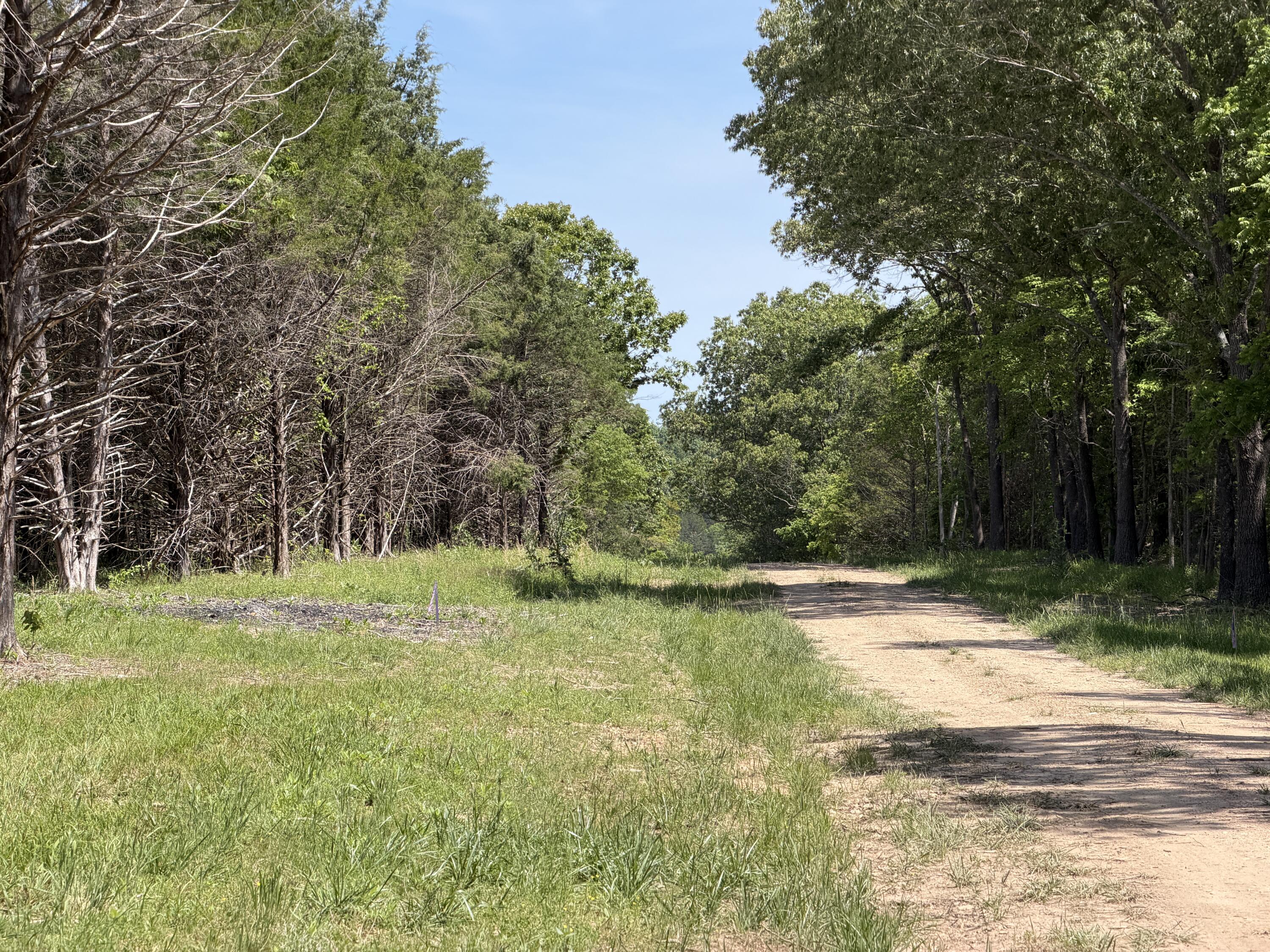 000 County Road 318 Lot 7 Property Photo 23