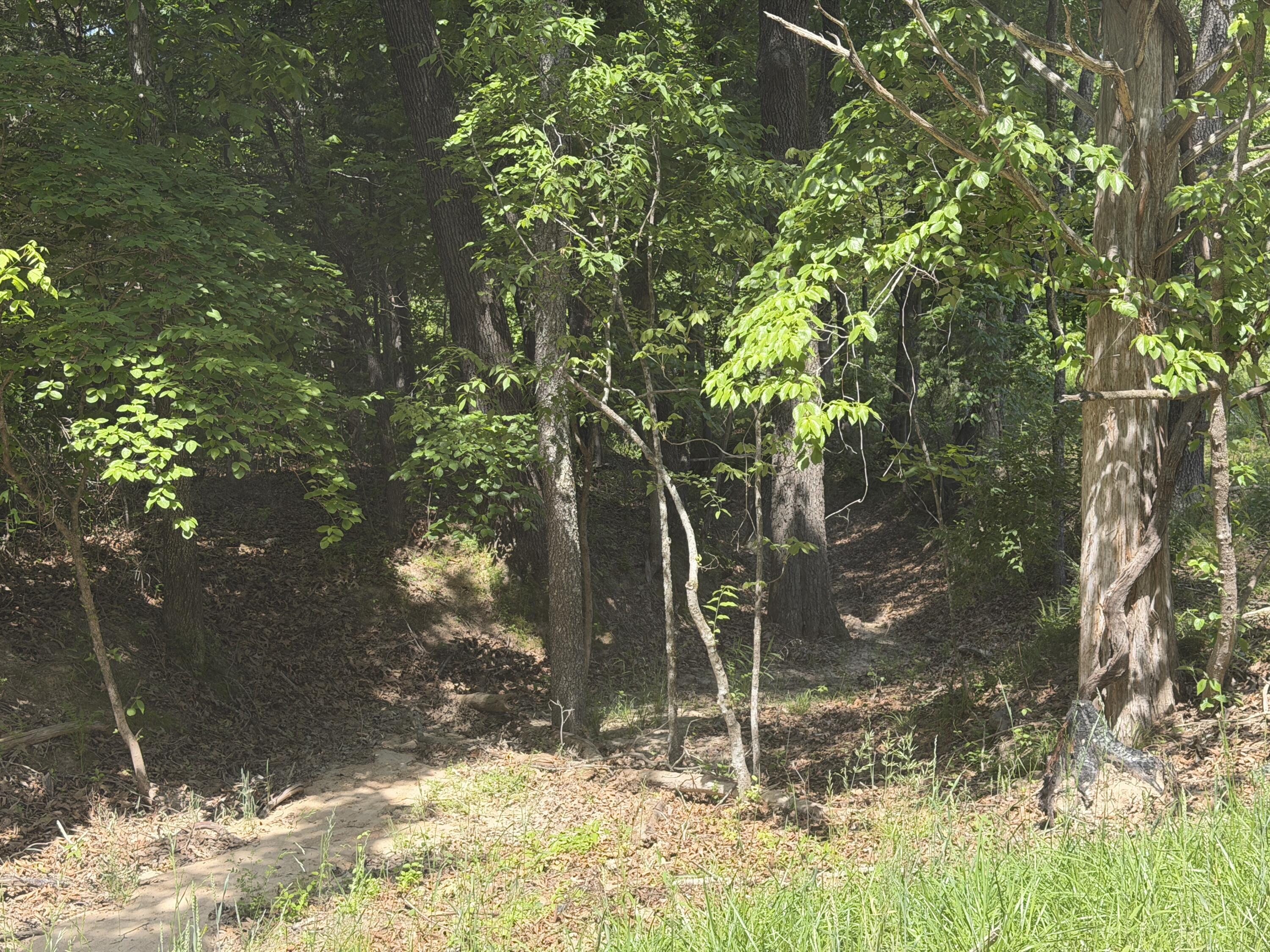 000 County Road 318 Lot 7 Property Photo 24