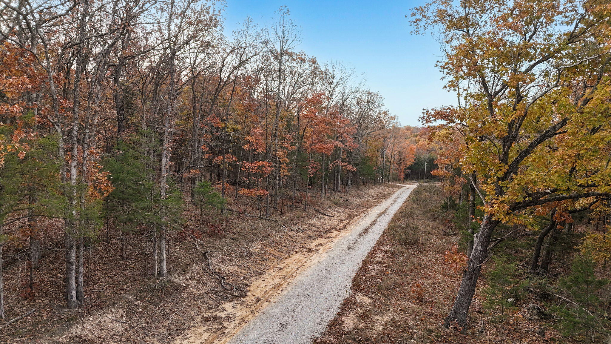000 Cedarwood Drive Property Photo 11