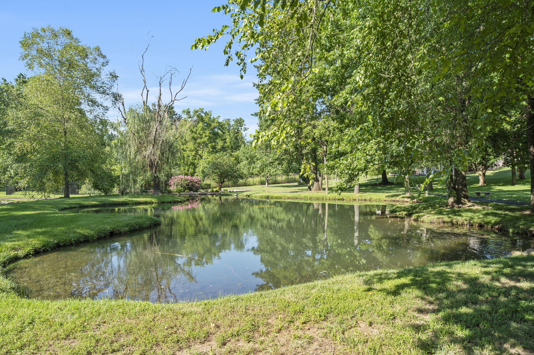 1646 West Caleb Court Property Photo 82