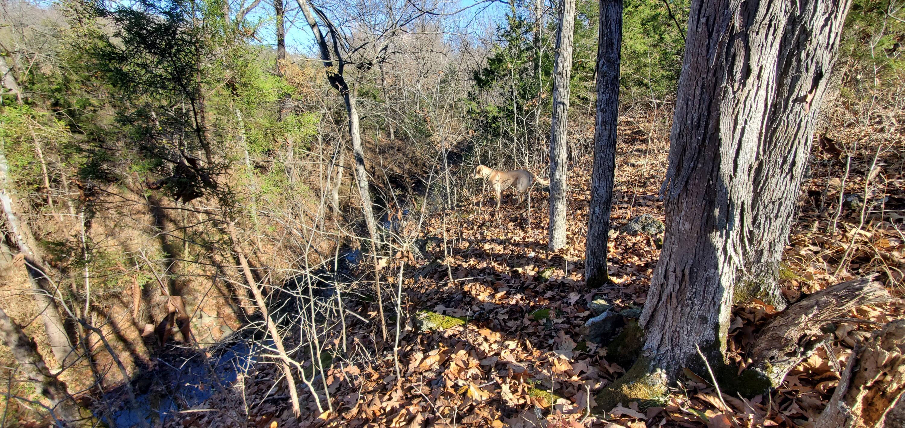 4775 South 50th Road Property Photo 187