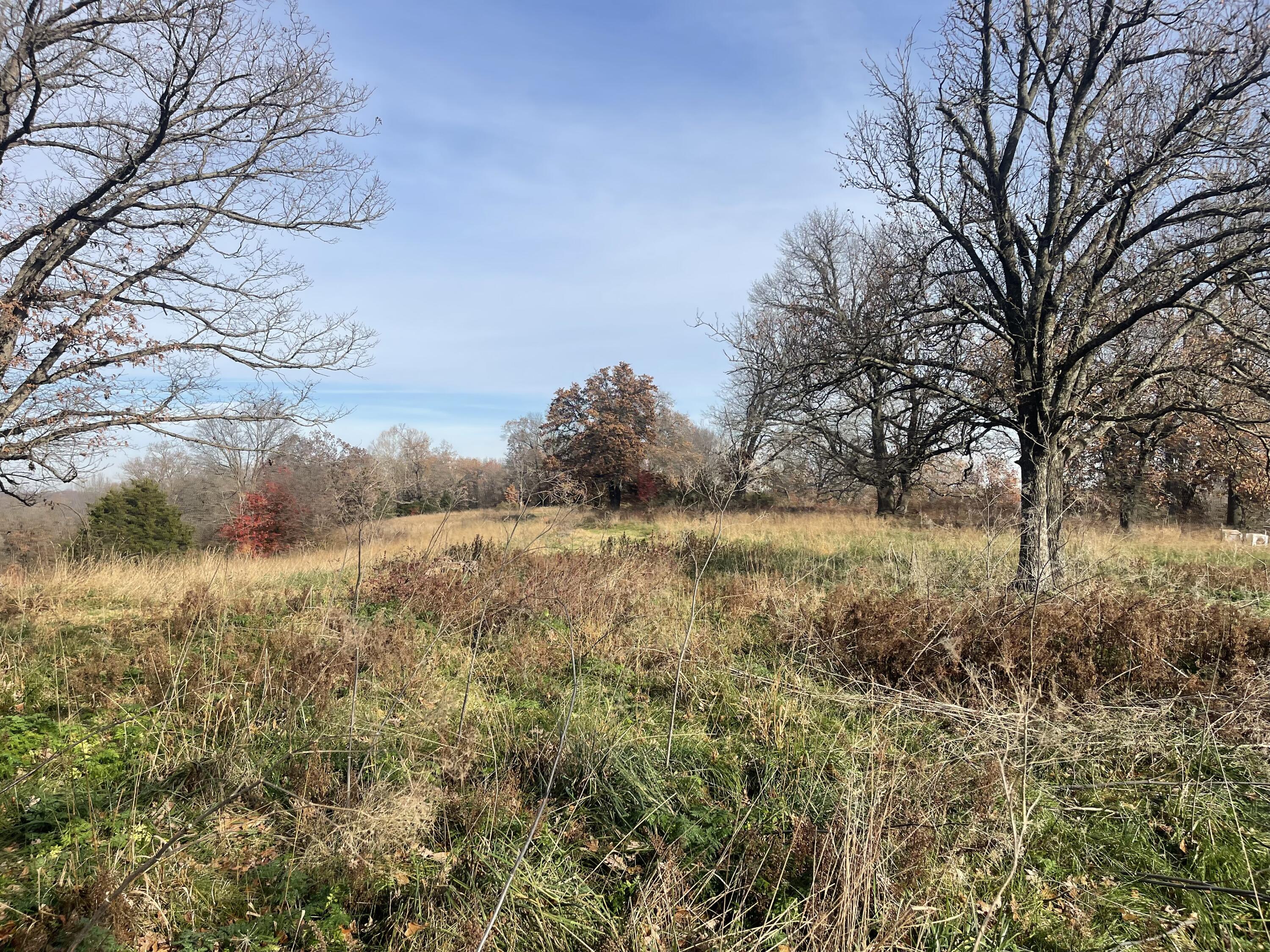 10256 Otter Drive Property Photo 28