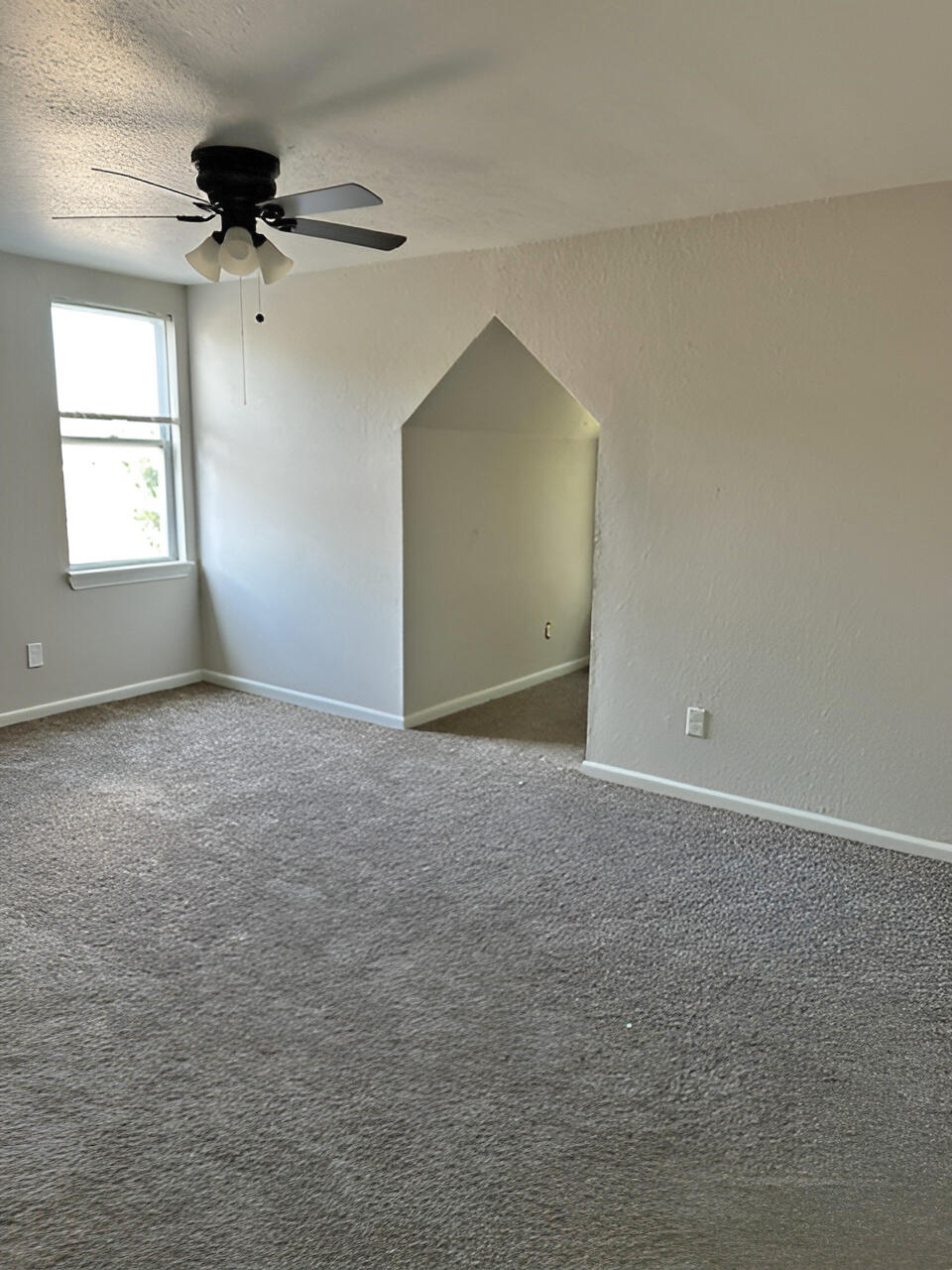 703 North 6th Avenue Property Photo 7