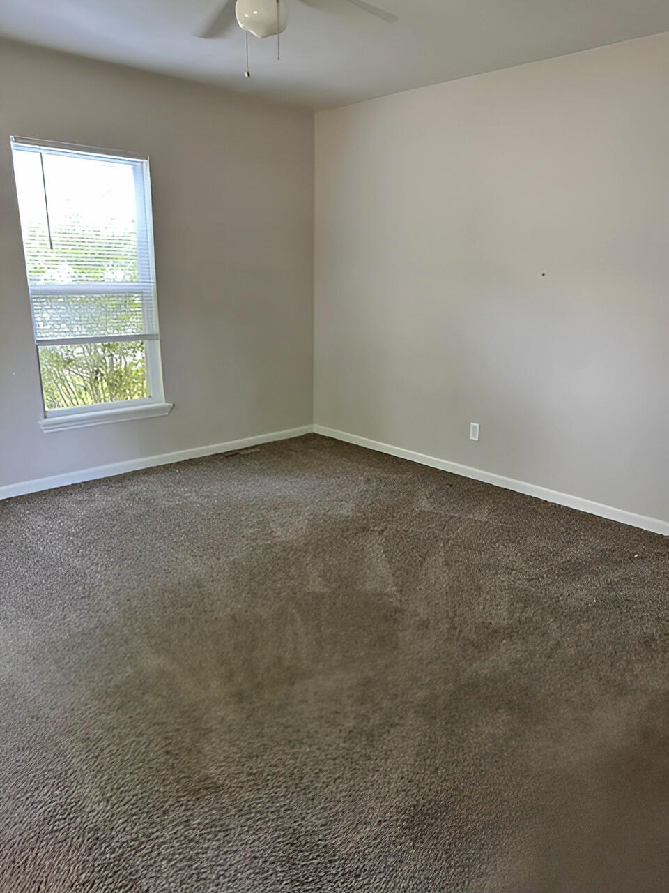 703 North 6th Avenue Property Photo 10
