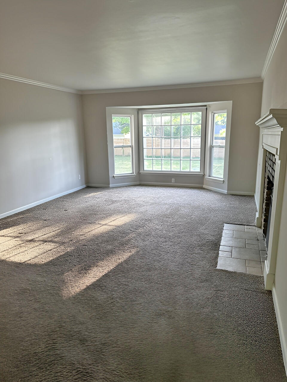 703 North 6th Avenue Property Photo 19