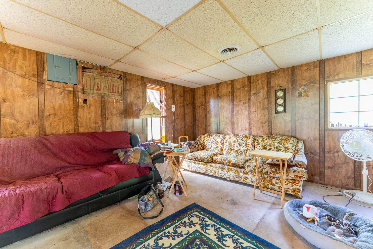 1250 County Road 405 Property Photo 23