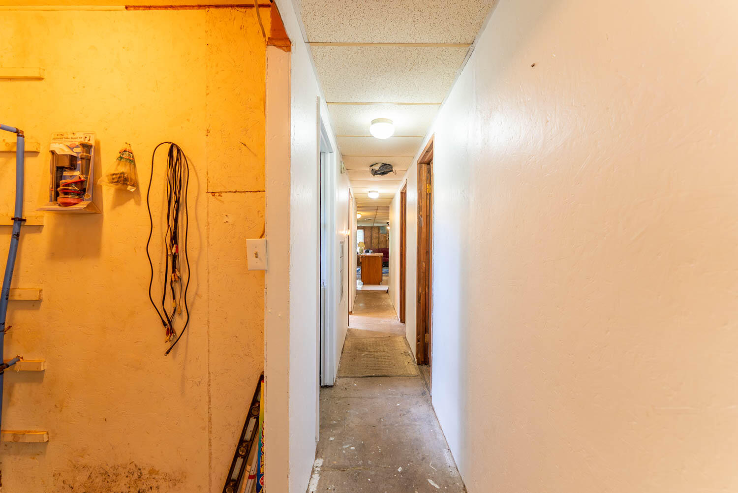 1250 County Road 405 Property Photo 37
