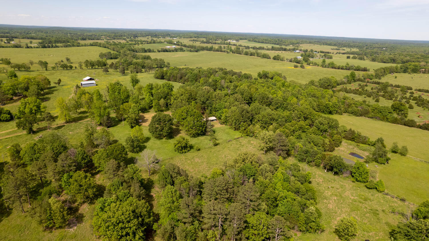 1250 County Road 405 Property Photo 44