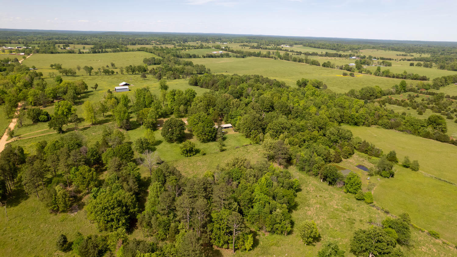 1250 County Road 405 Property Photo 45