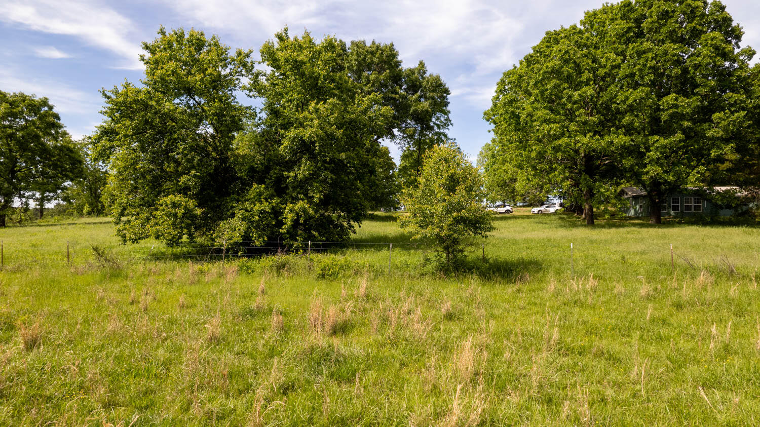 1250 County Road 405 Property Photo 49