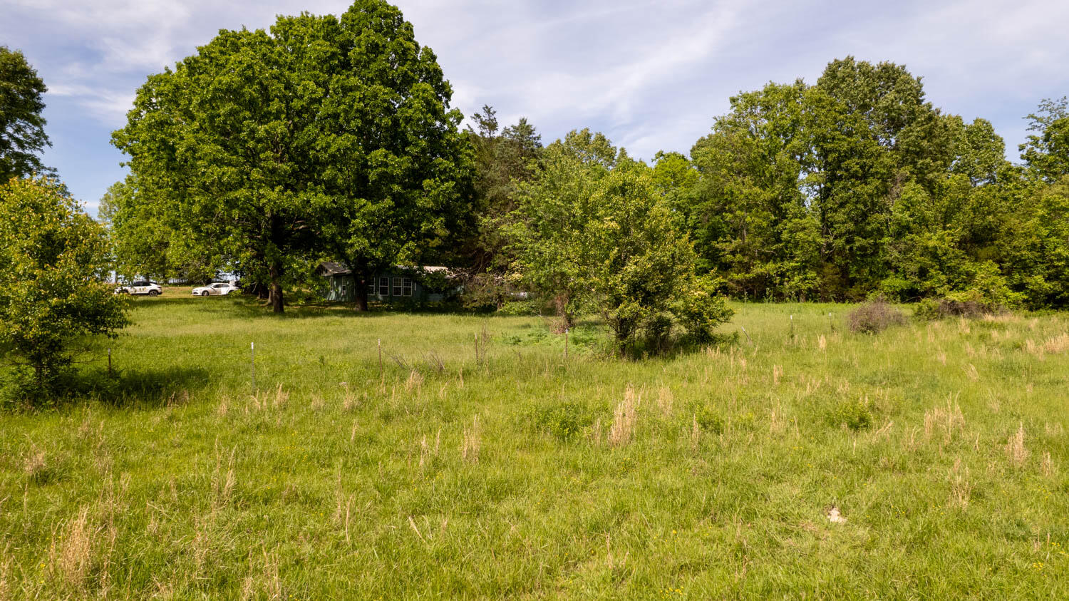1250 County Road 405 Property Photo 50