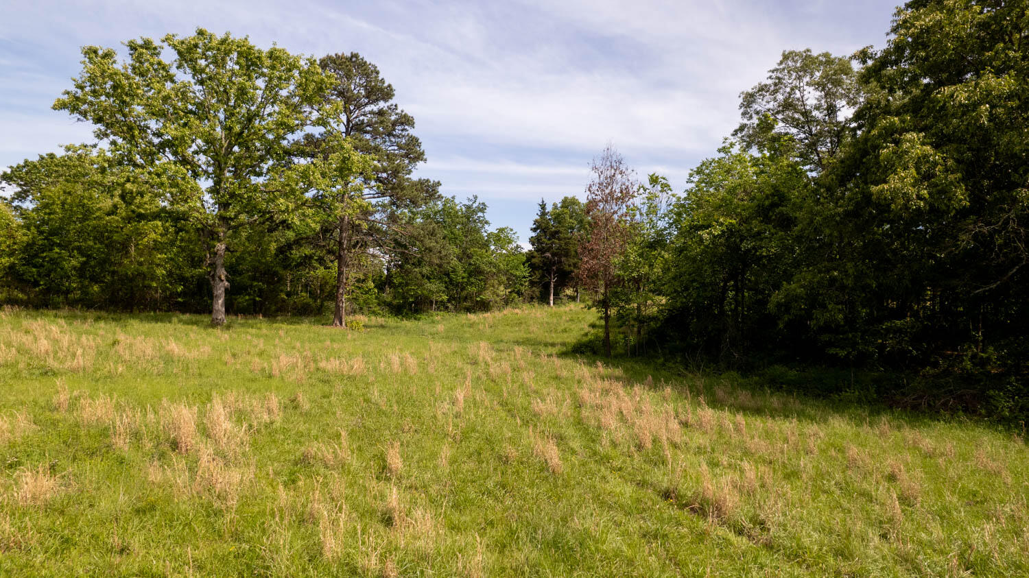 1250 County Road 405 Property Photo 52