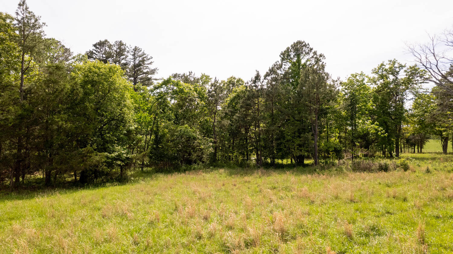 1250 County Road 405 Property Photo 53