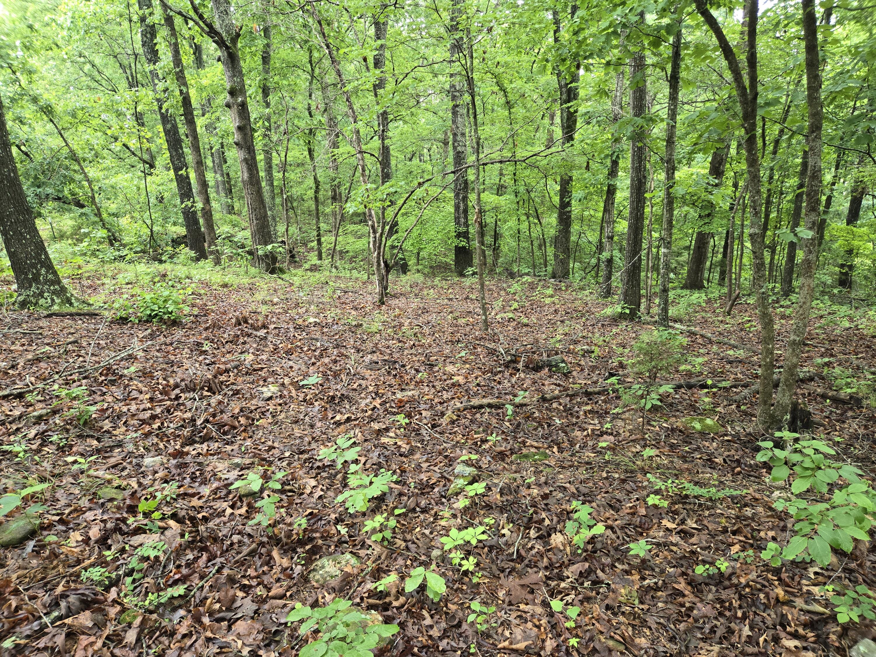 000 State Route Yy Property Photo 1