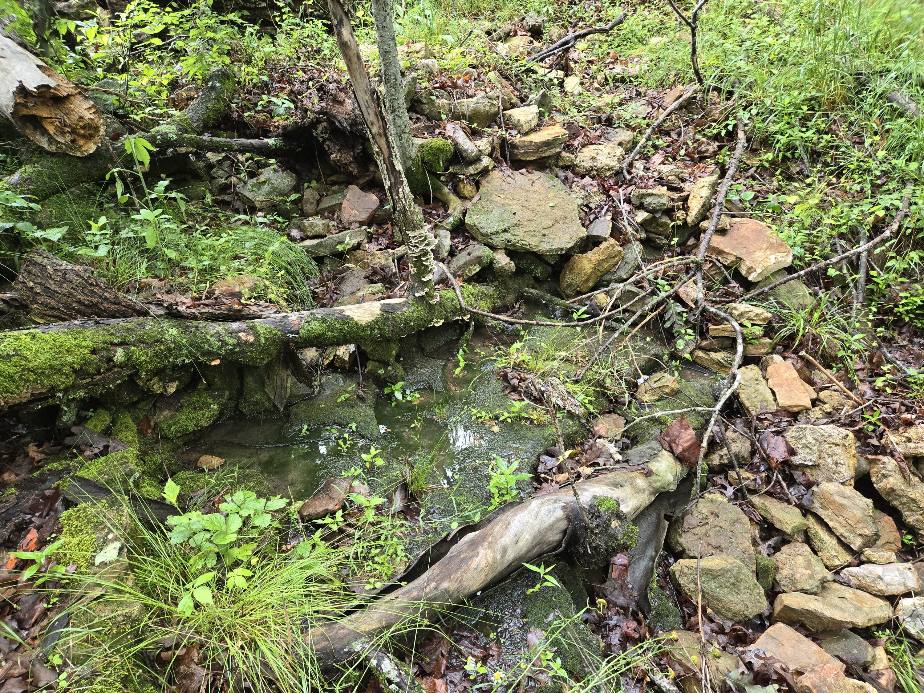 000 State Route Yy Property Photo 3