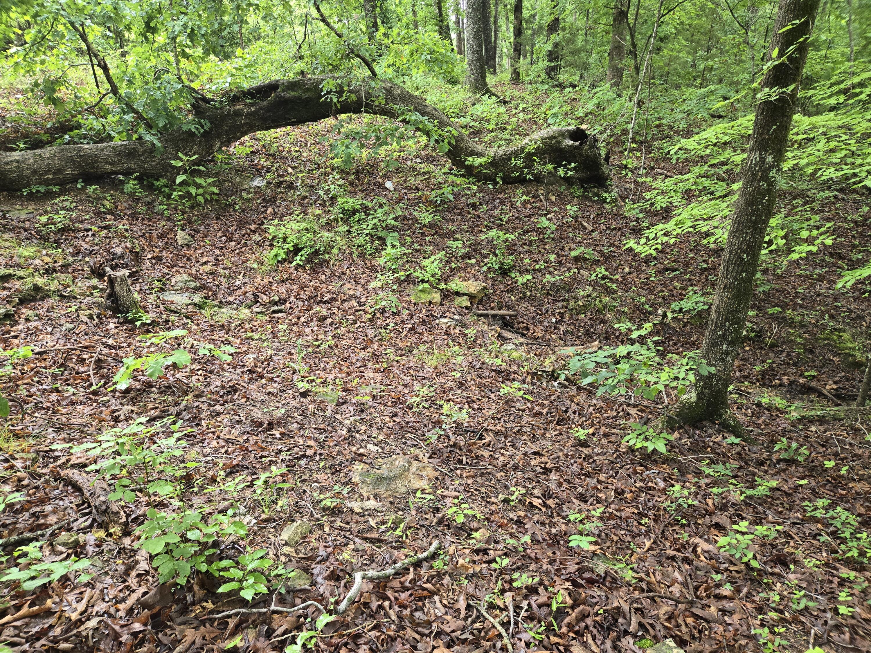 000 State Route Yy Property Photo 4