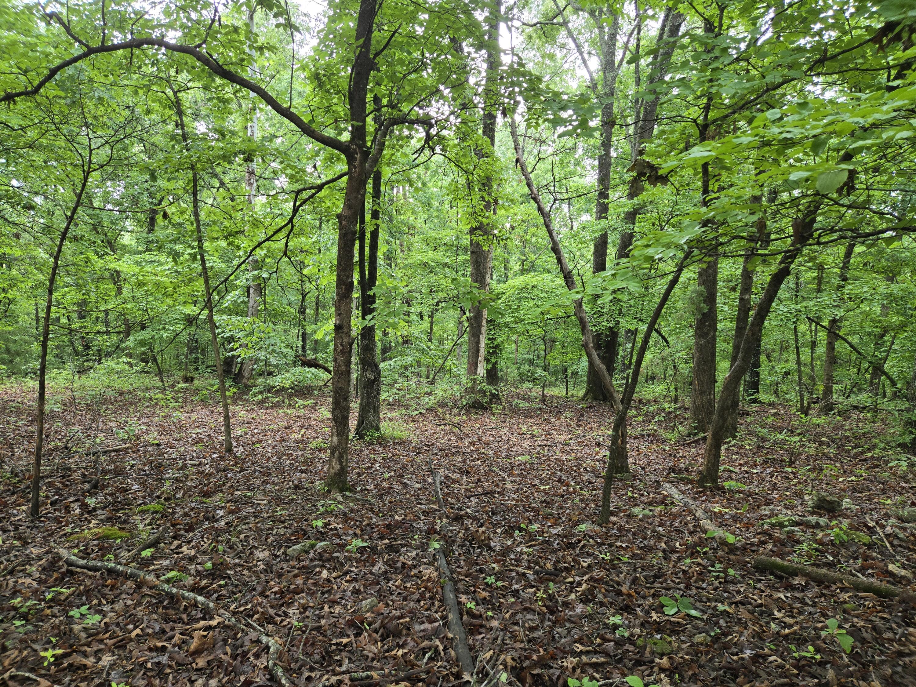 000 State Route Yy Property Photo 7