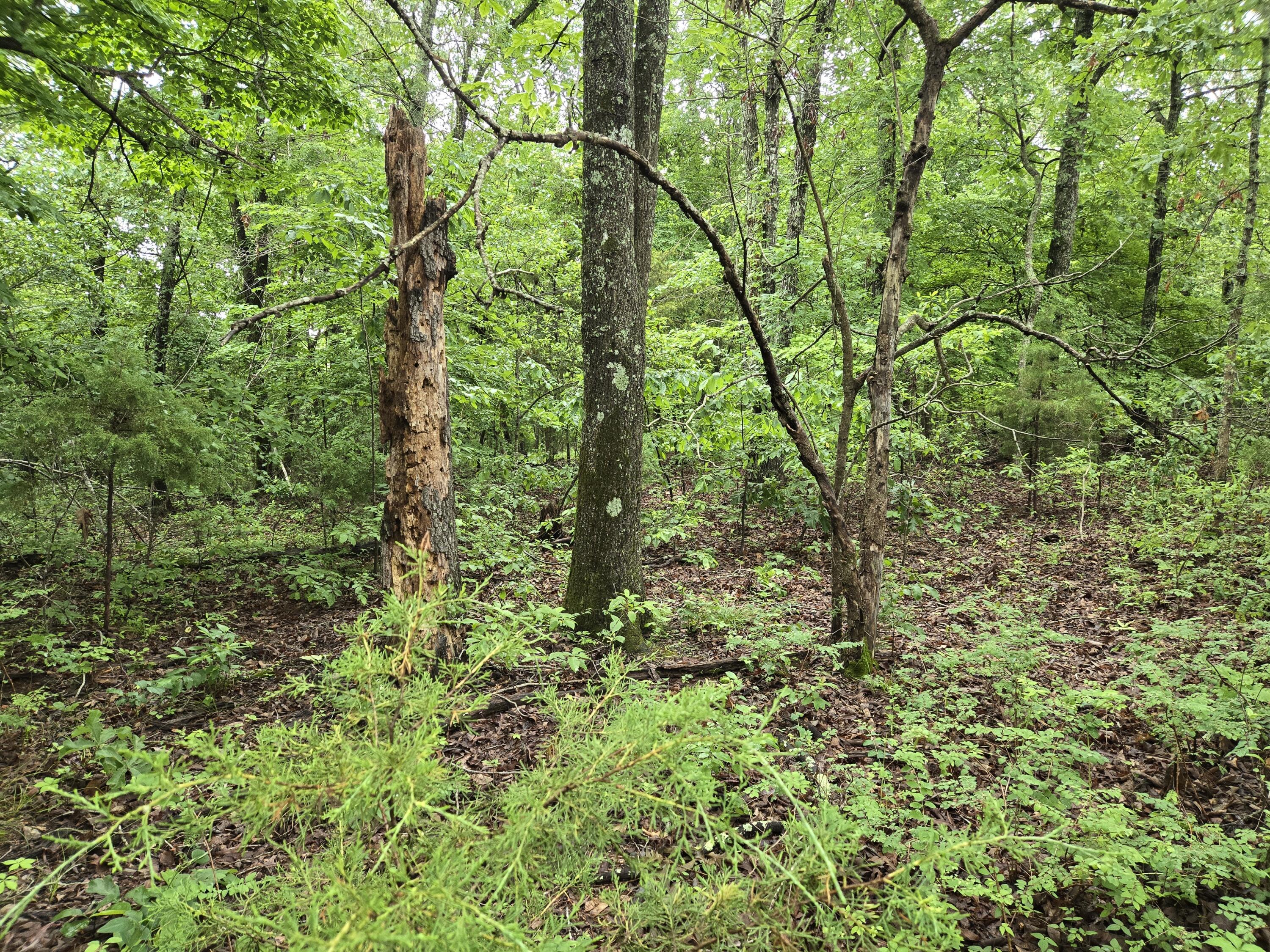 000 State Route Yy Property Photo 9
