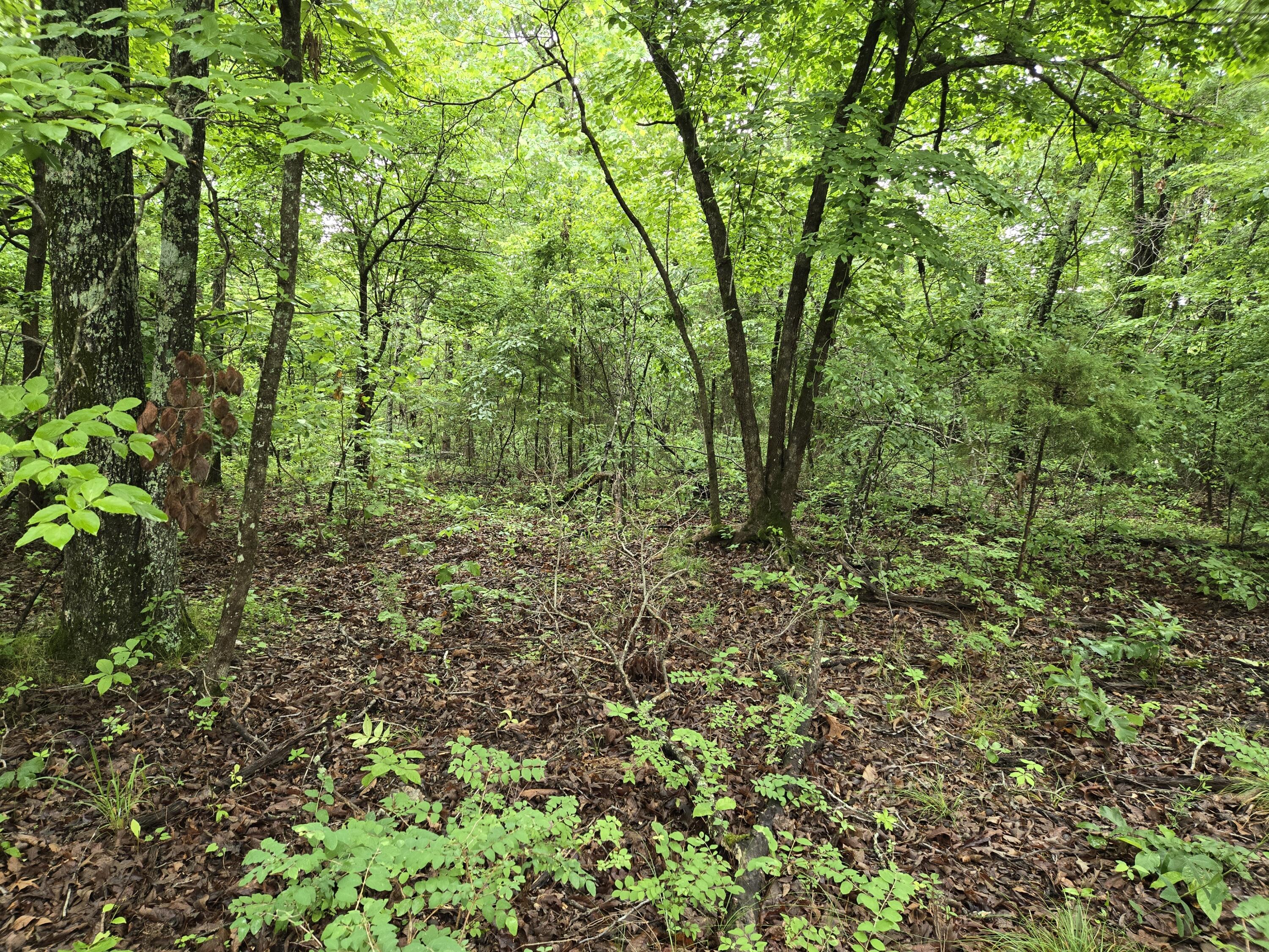 000 State Route Yy Property Photo 10
