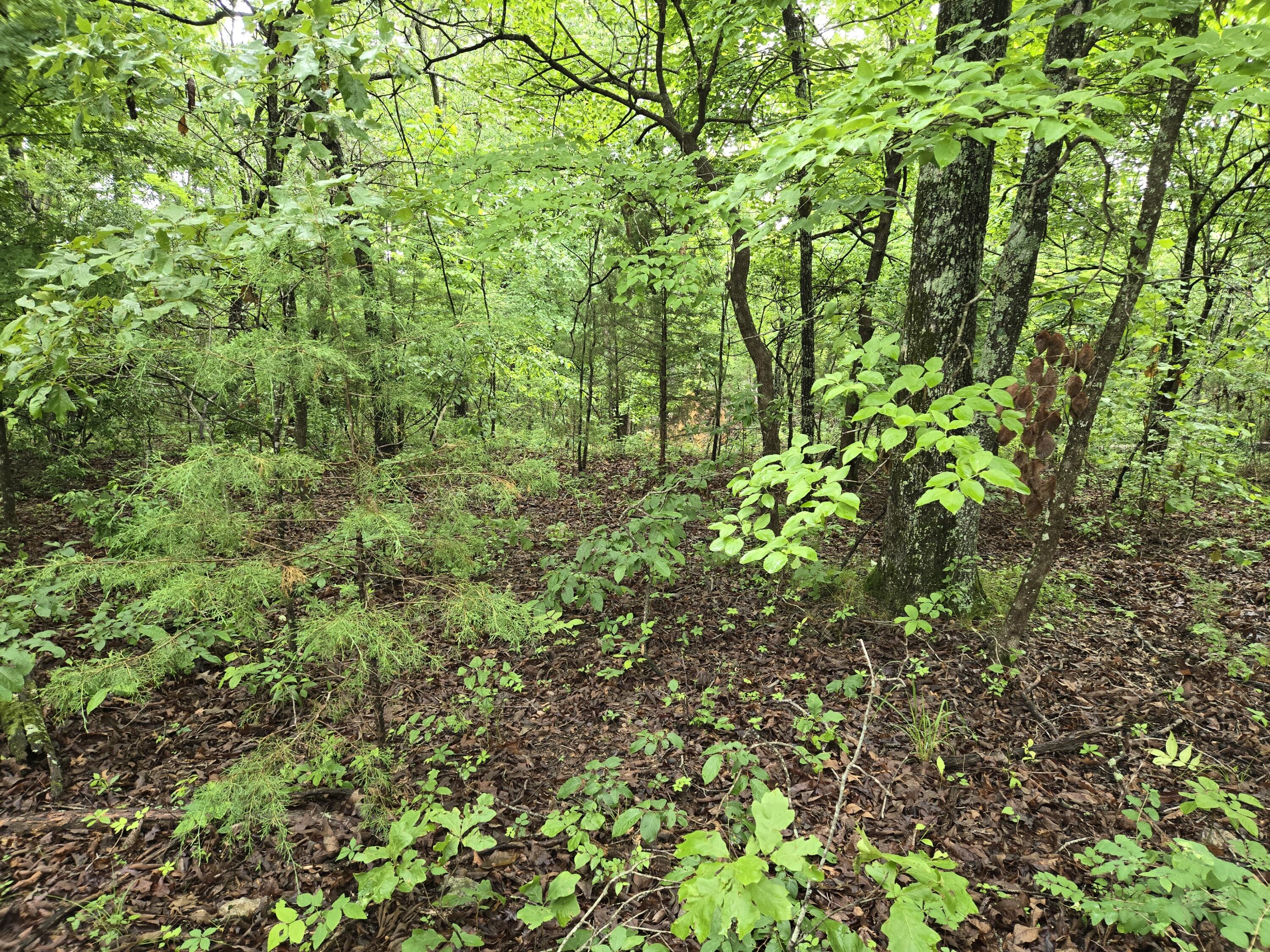 000 State Route Yy Property Photo 11