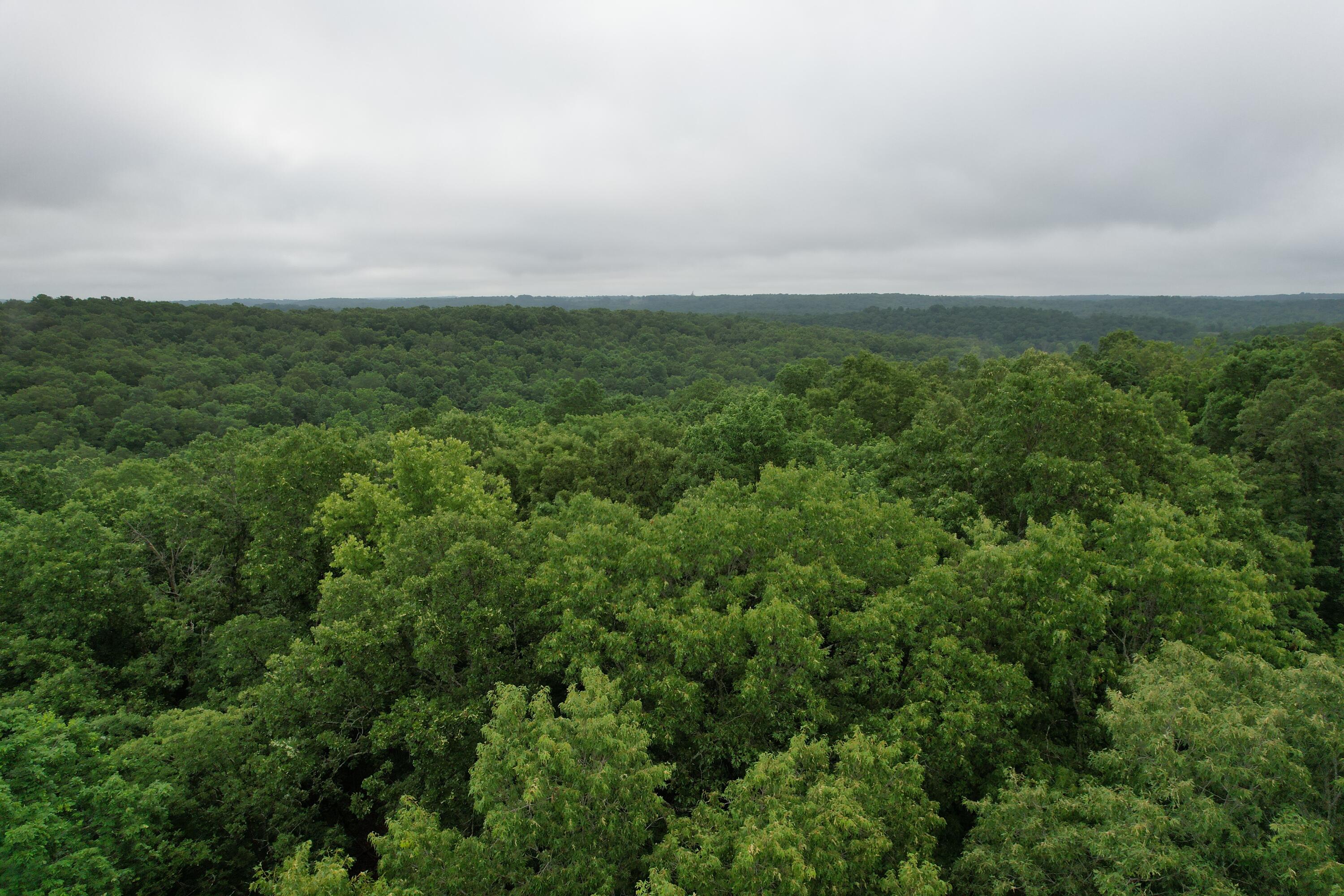 000 State Route Yy Property Photo 12