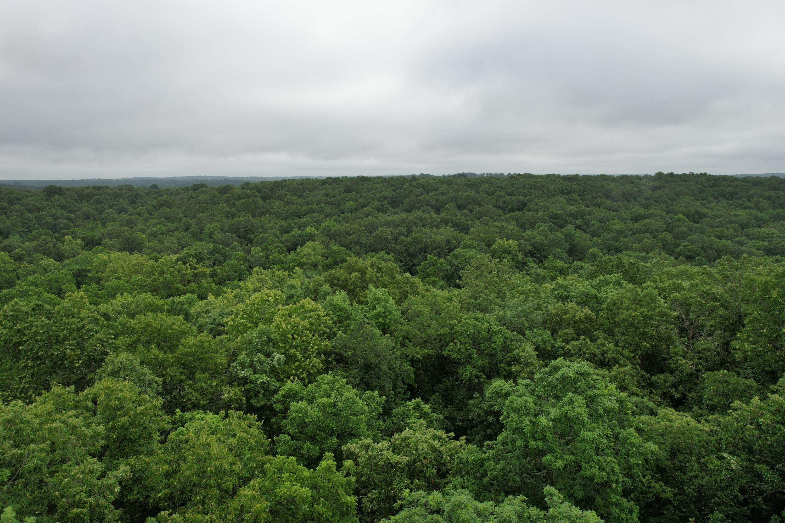 000 State Route Yy Property Photo 13