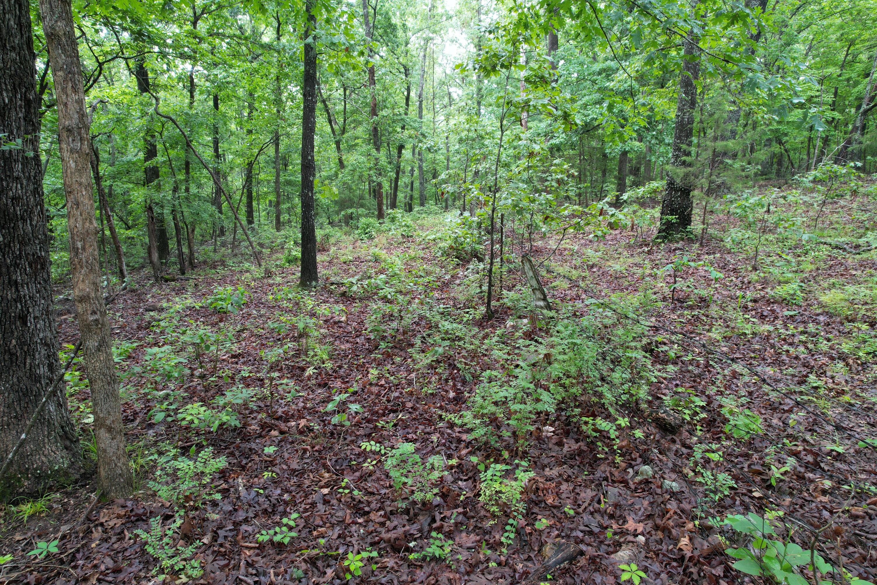 000 State Route Yy Property Photo 14