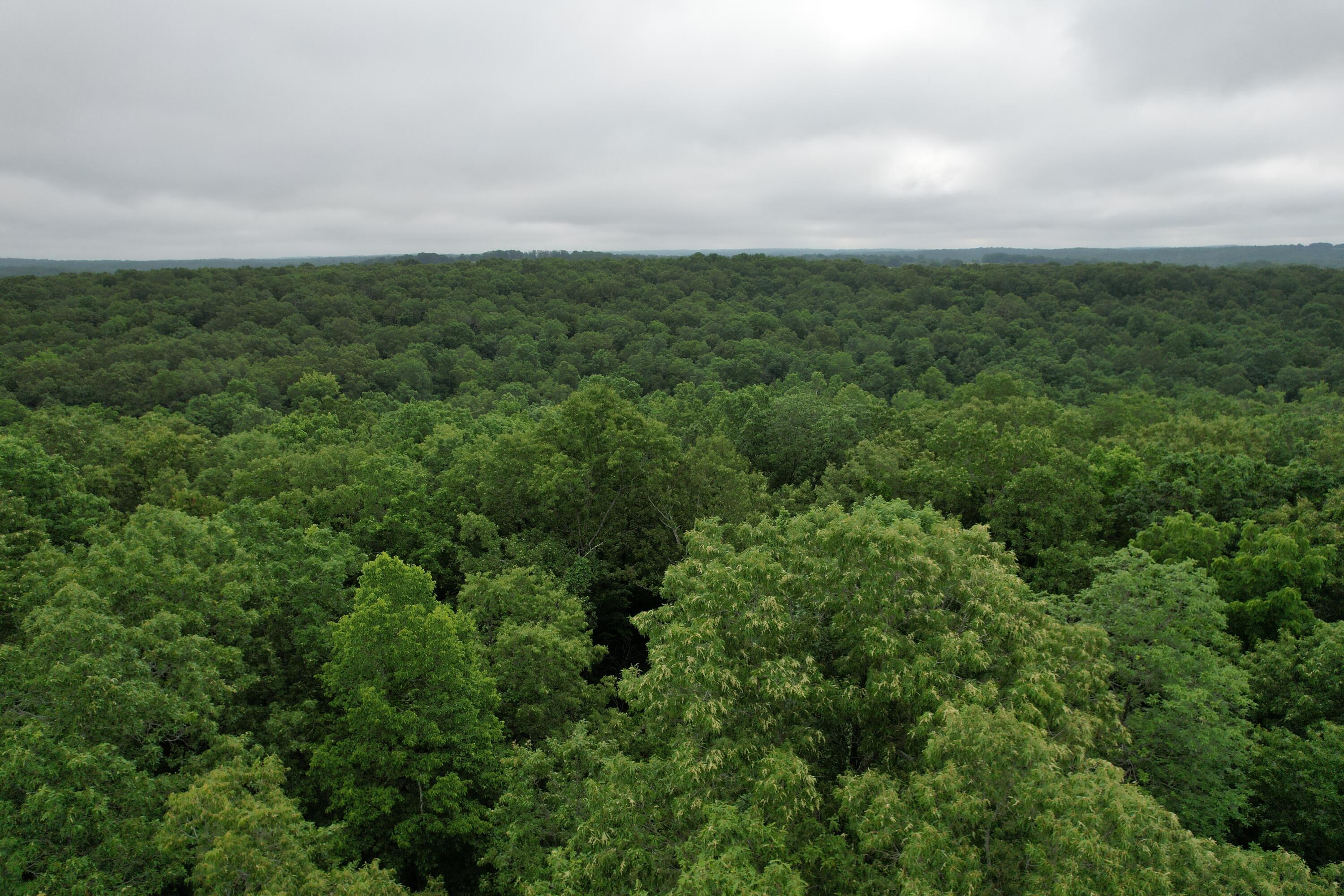 000 State Route Yy Property Photo 15