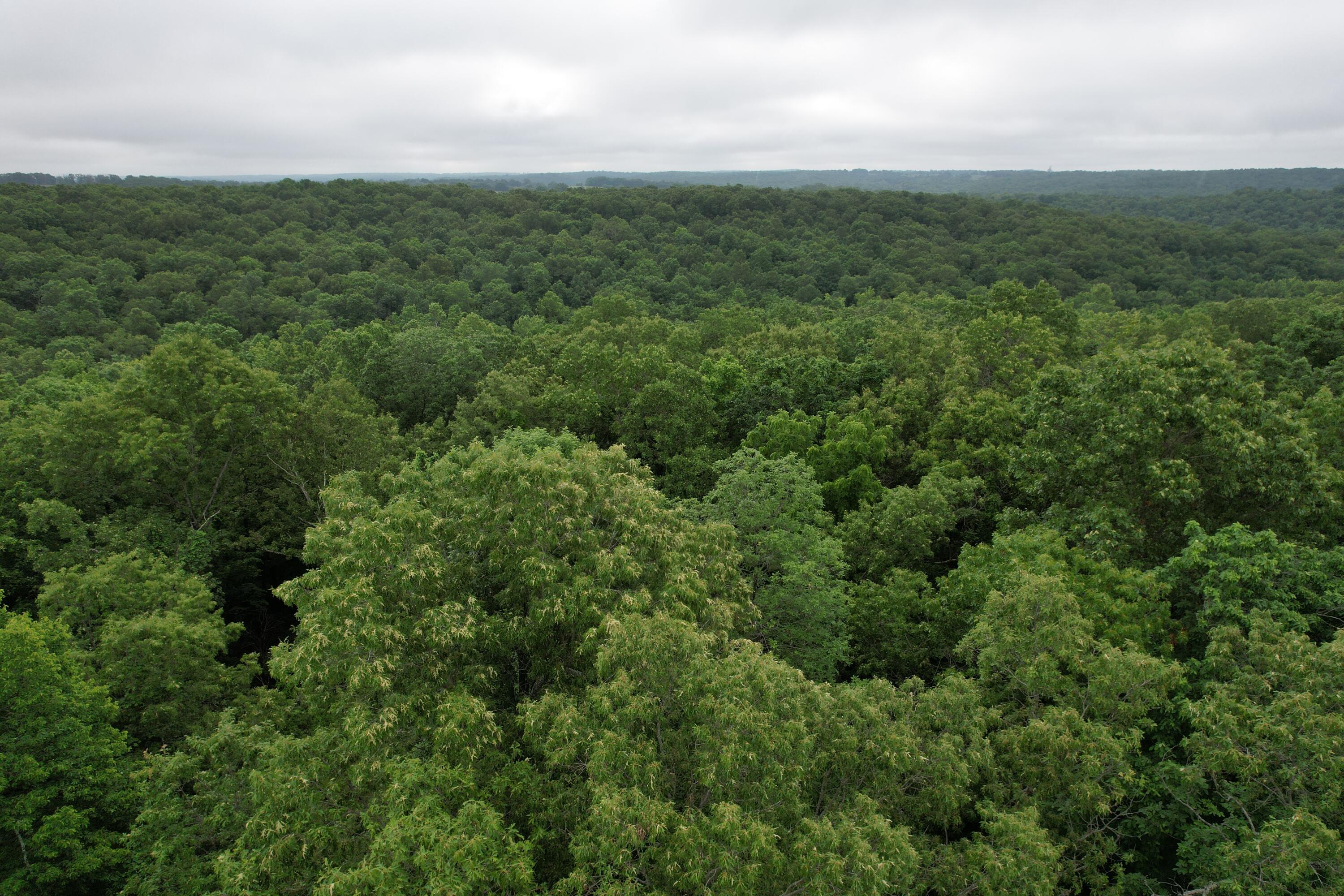 000 State Route Yy Property Photo 16