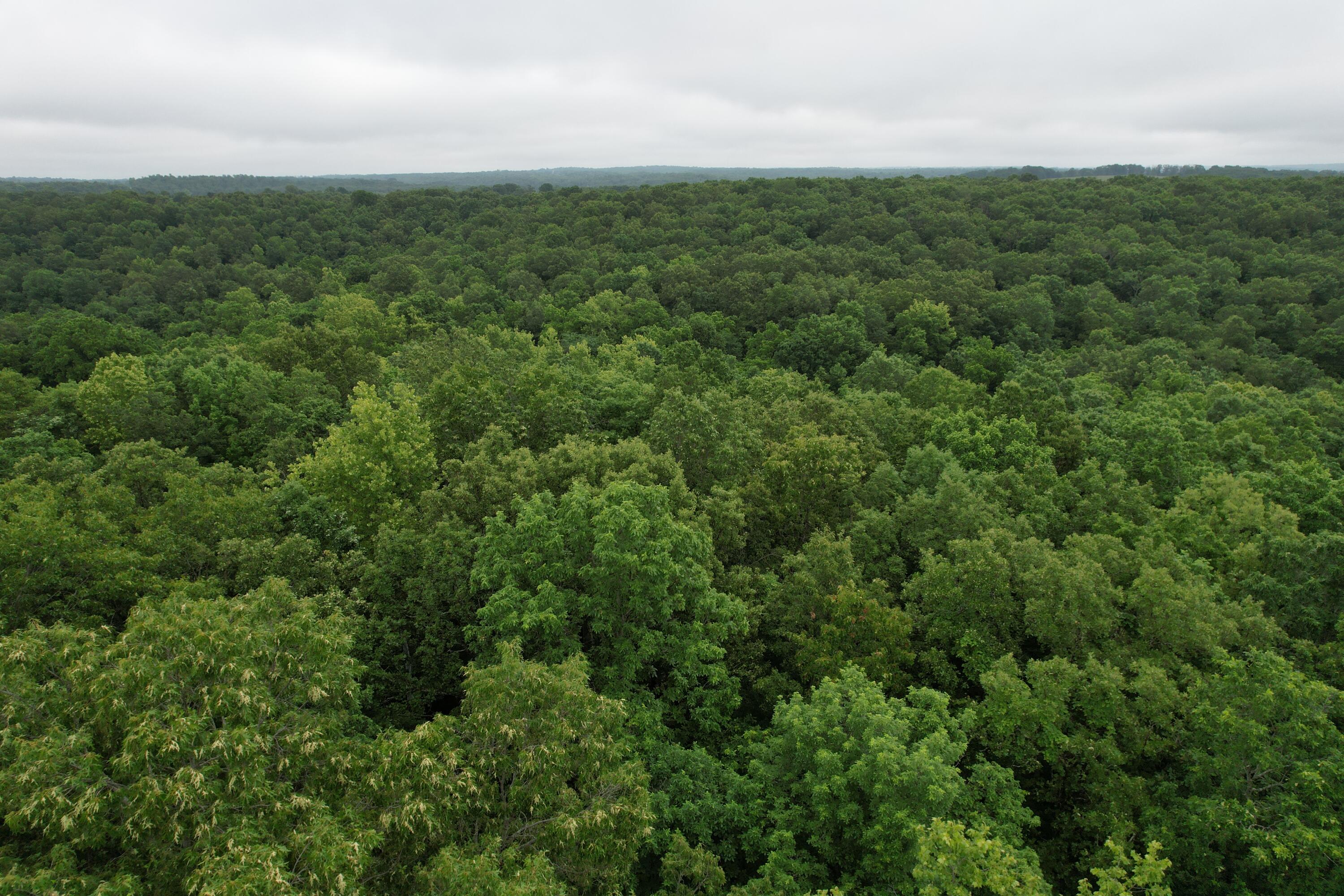000 State Route Yy Property Photo 17
