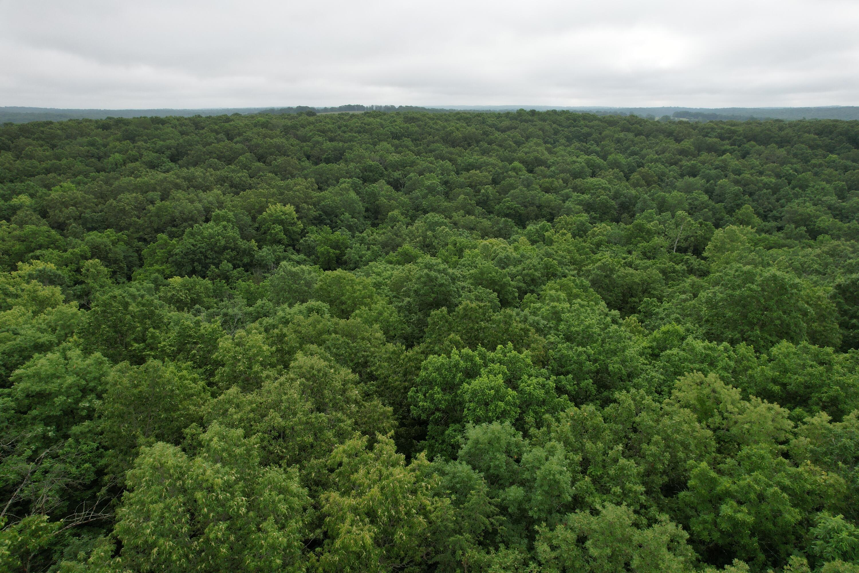 000 State Route Yy Property Photo 18