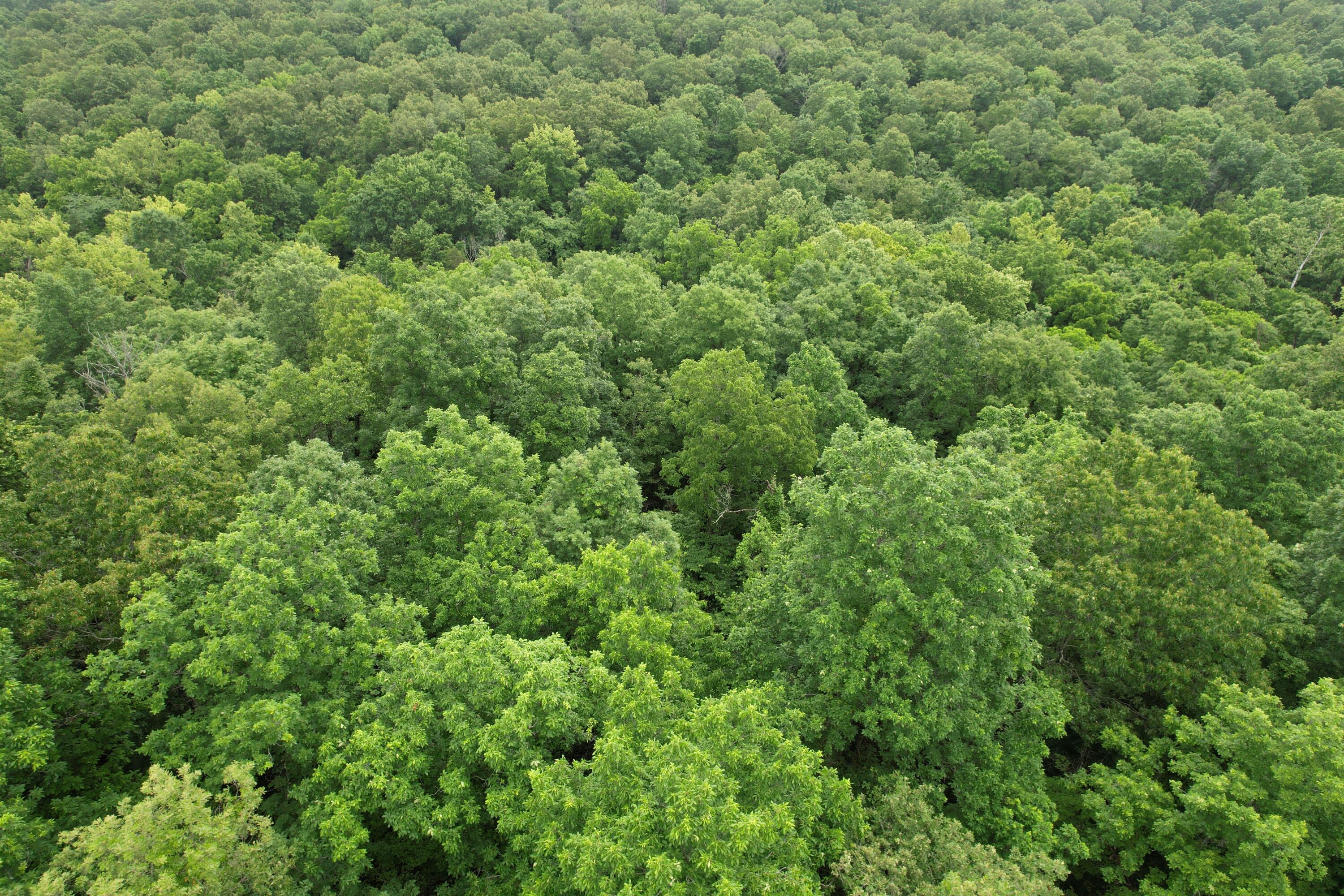 000 State Route Yy Property Photo 19