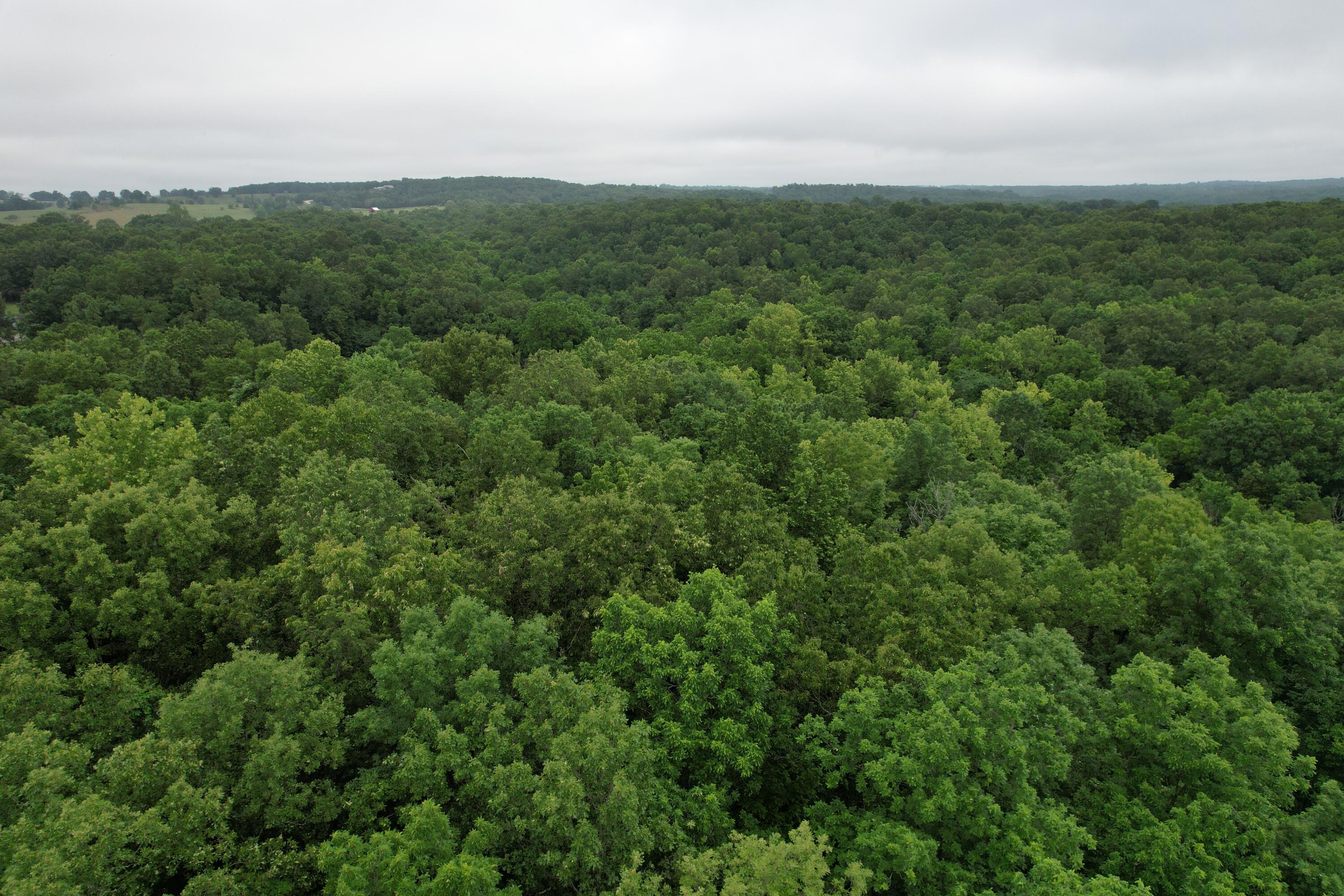 000 State Route Yy Property Photo 20