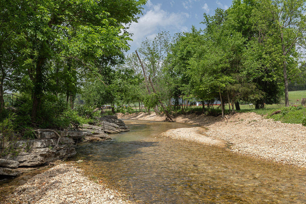 1168 Upper Mill Creek Road Property Photo 6
