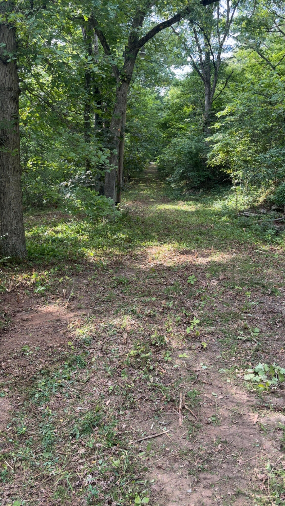 Tbd Railey Creek Property Photo 7