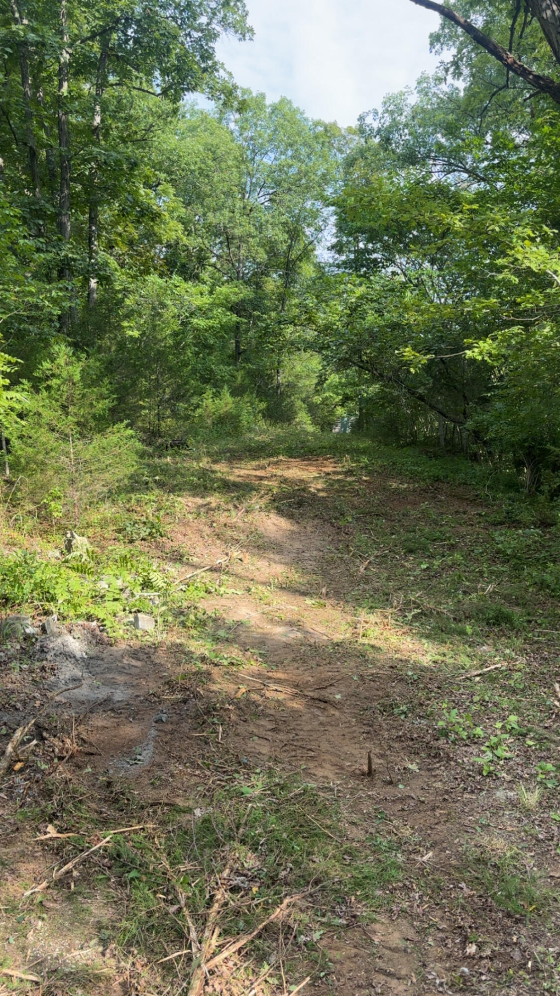 Tbd Railey Creek Property Photo 8