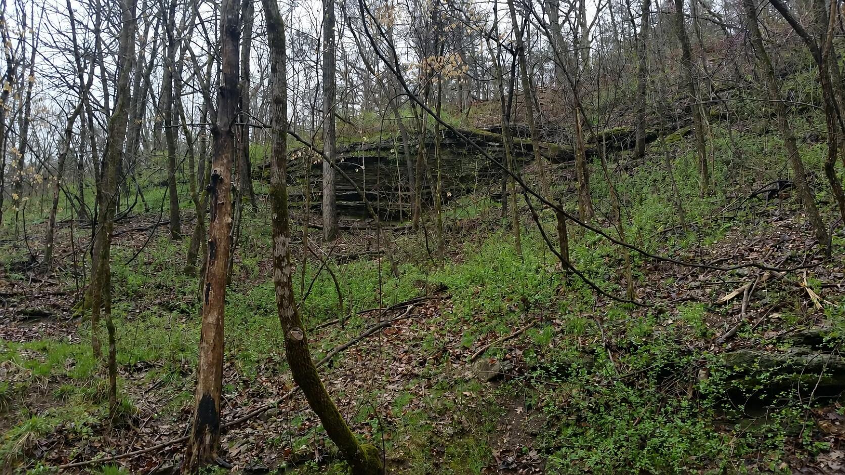 Tbd Railey Creek Property Photo 14
