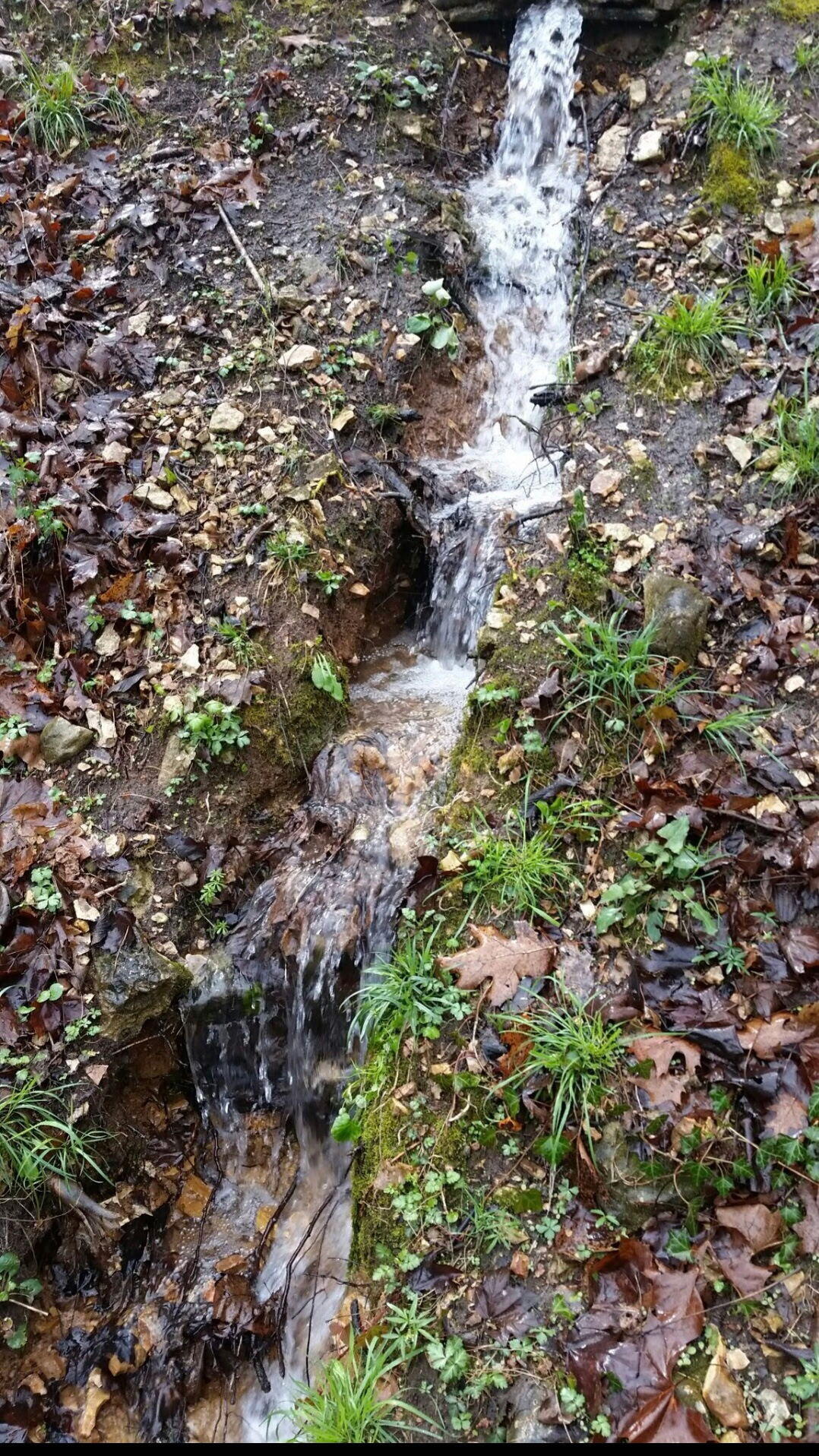 Tbd Railey Creek Property Photo 15