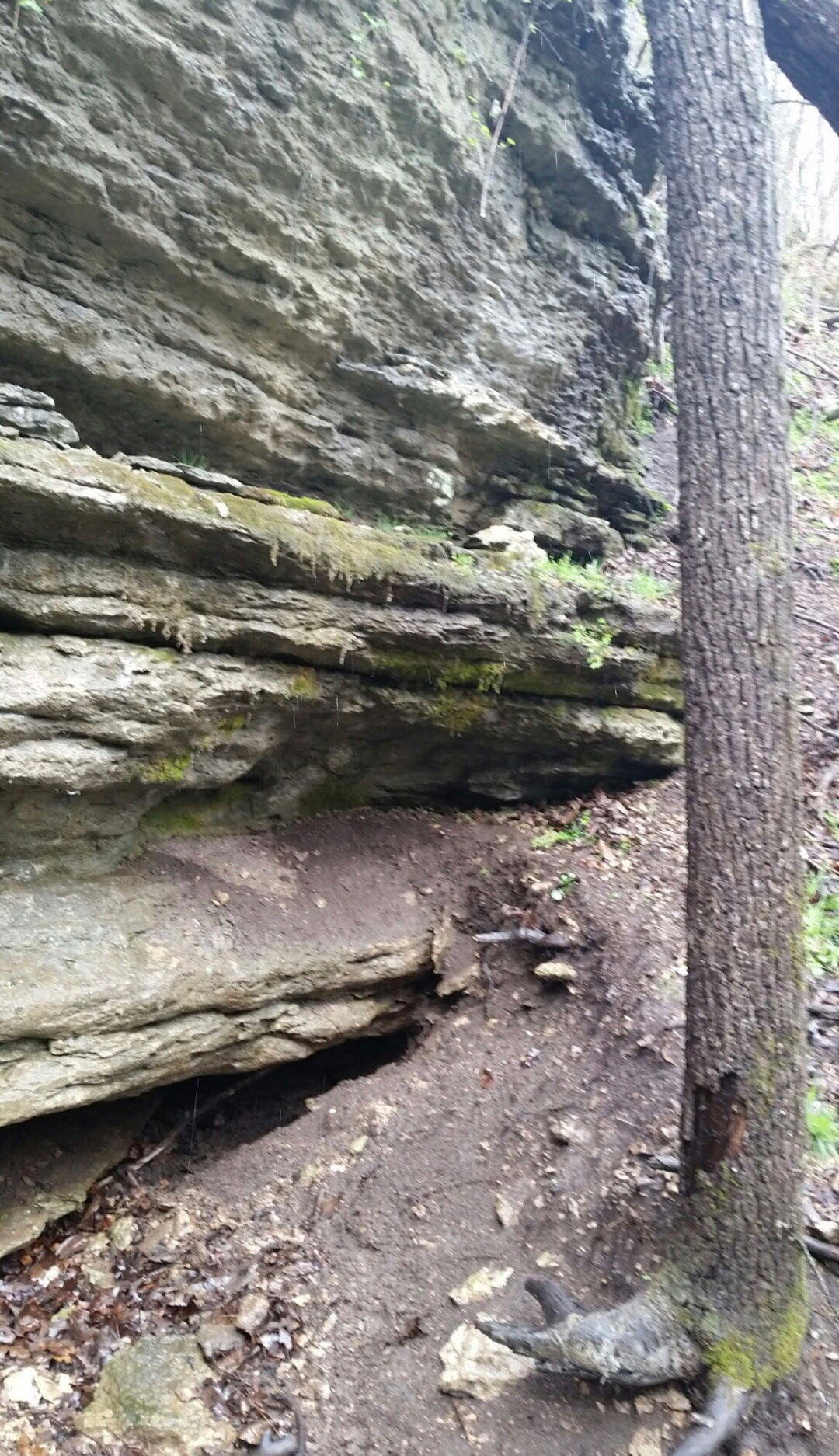 Tbd Railey Creek Property Photo 16