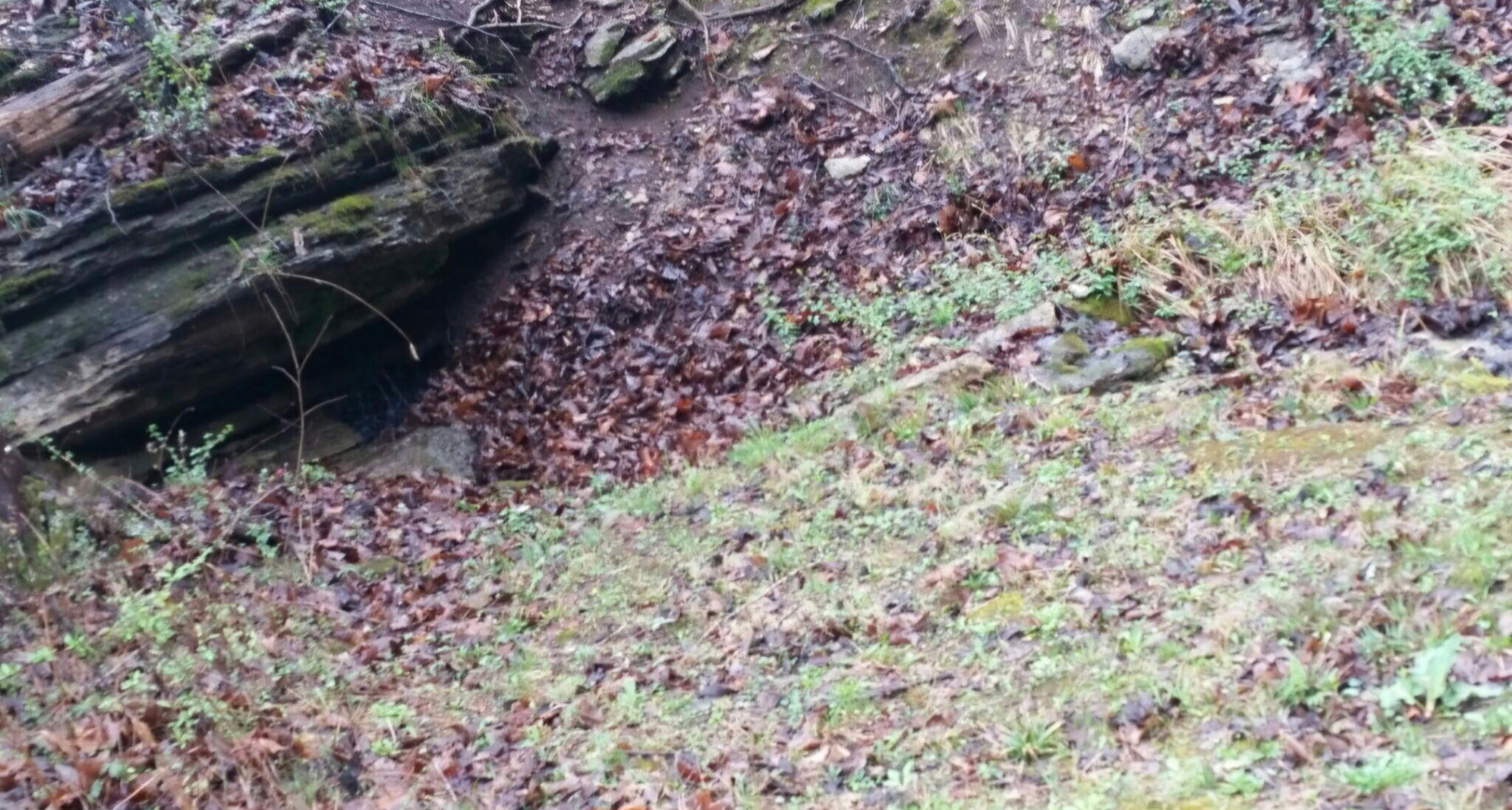 Tbd Railey Creek Property Photo 17