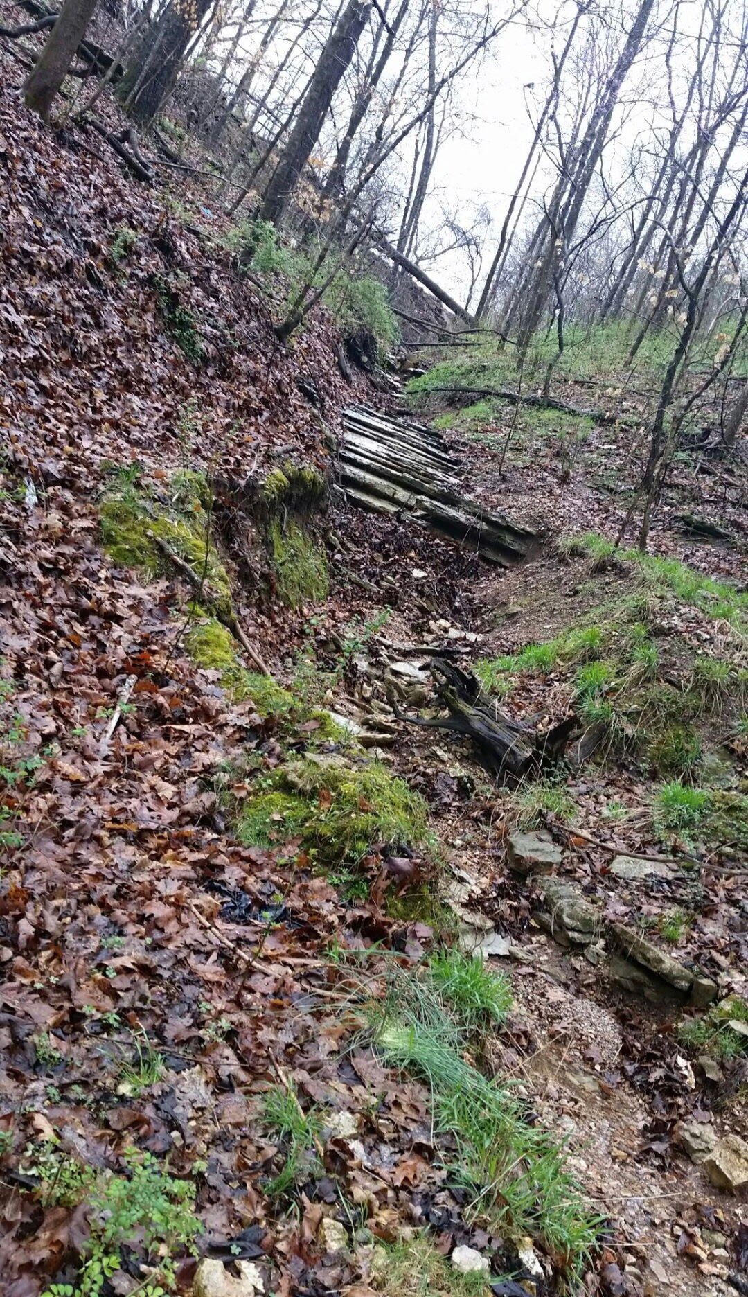 Tbd Railey Creek Property Photo 18
