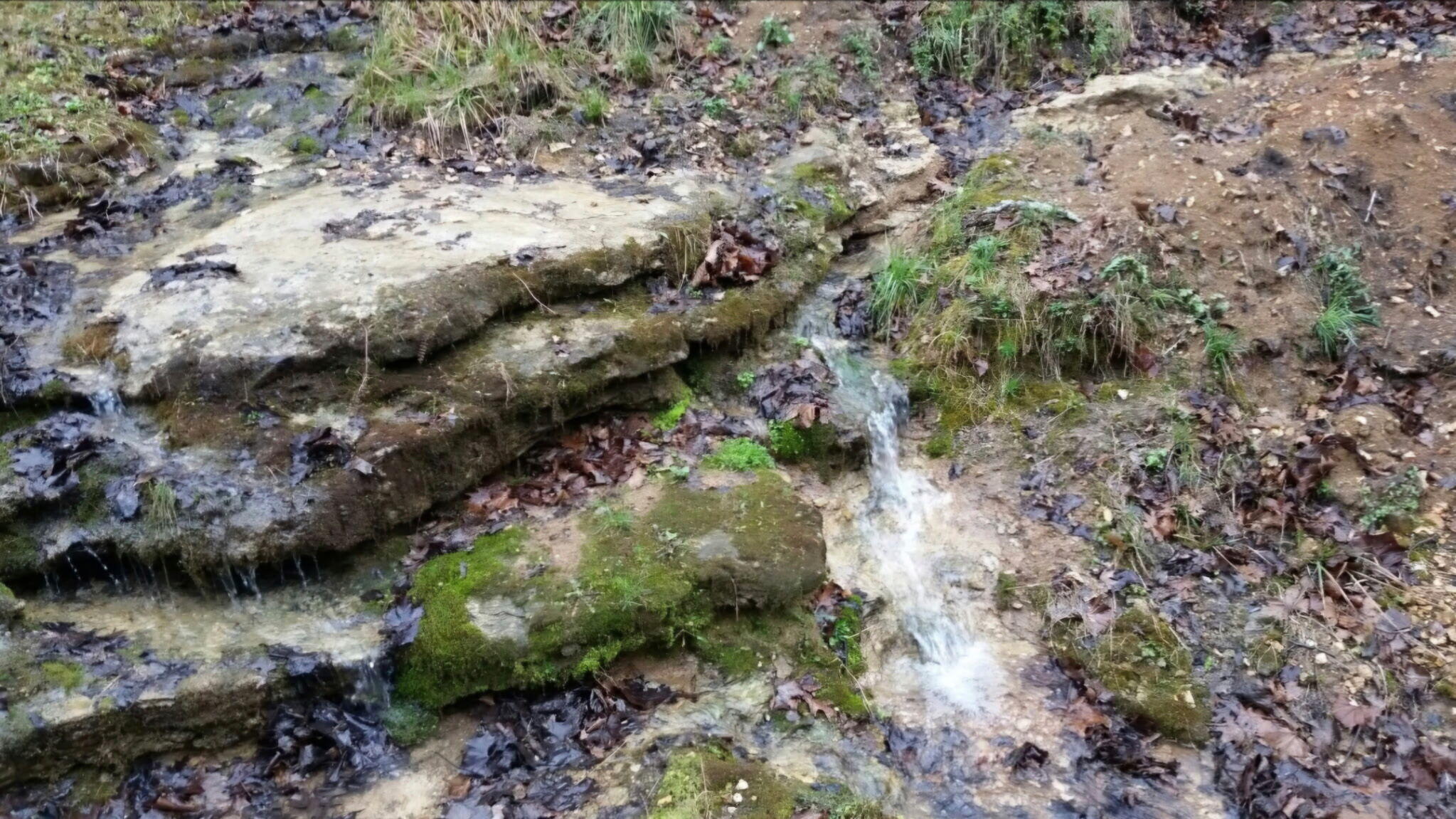 Tbd Railey Creek Property Photo 19