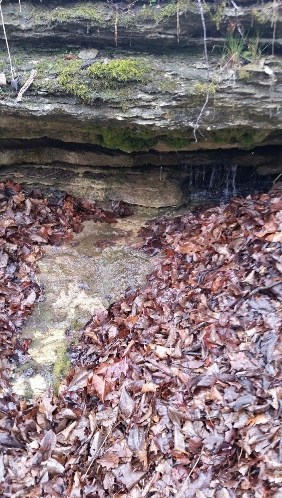 Tbd Railey Creek Property Photo 20