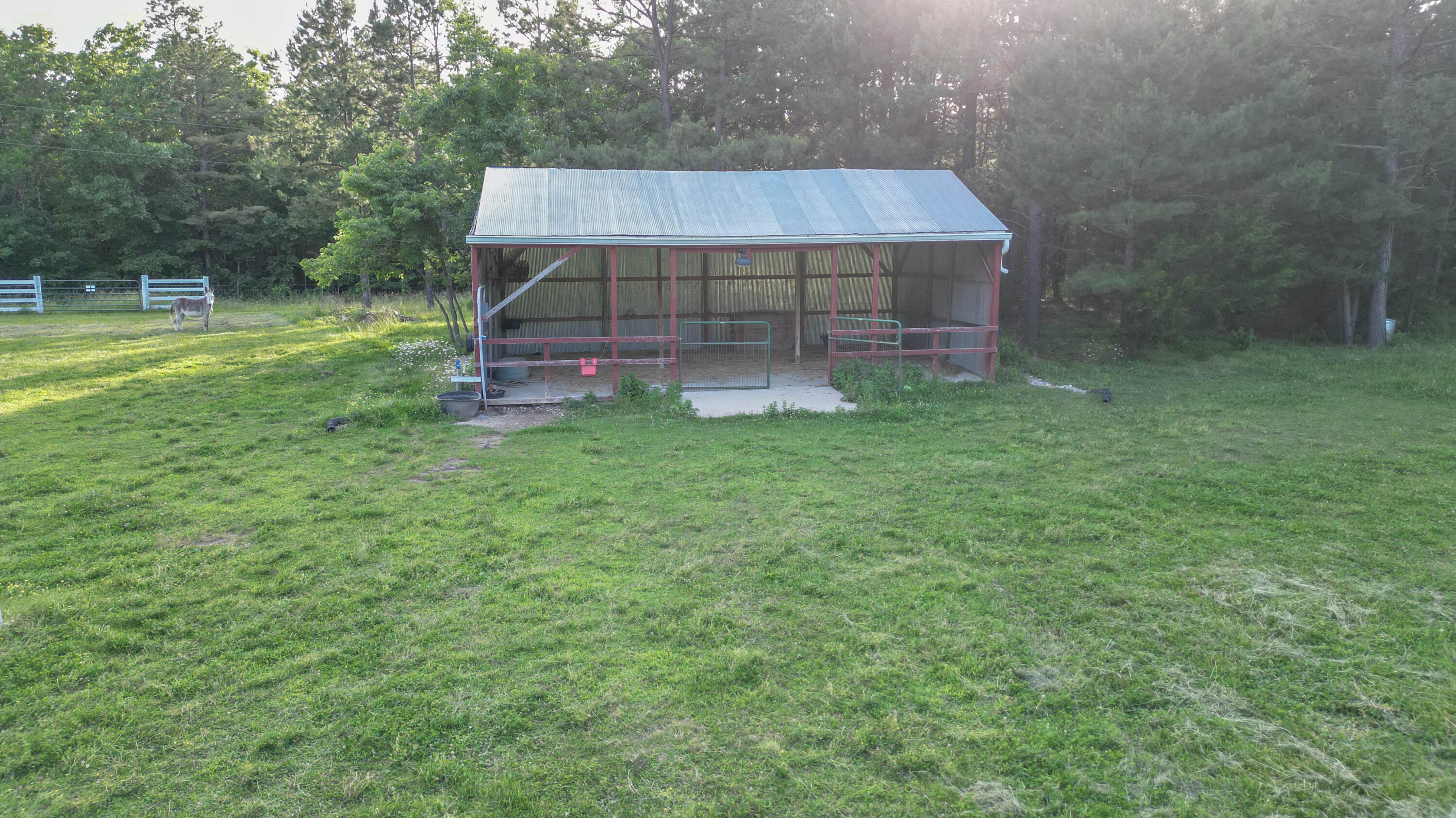 9672 Crane Drive Property Photo 4