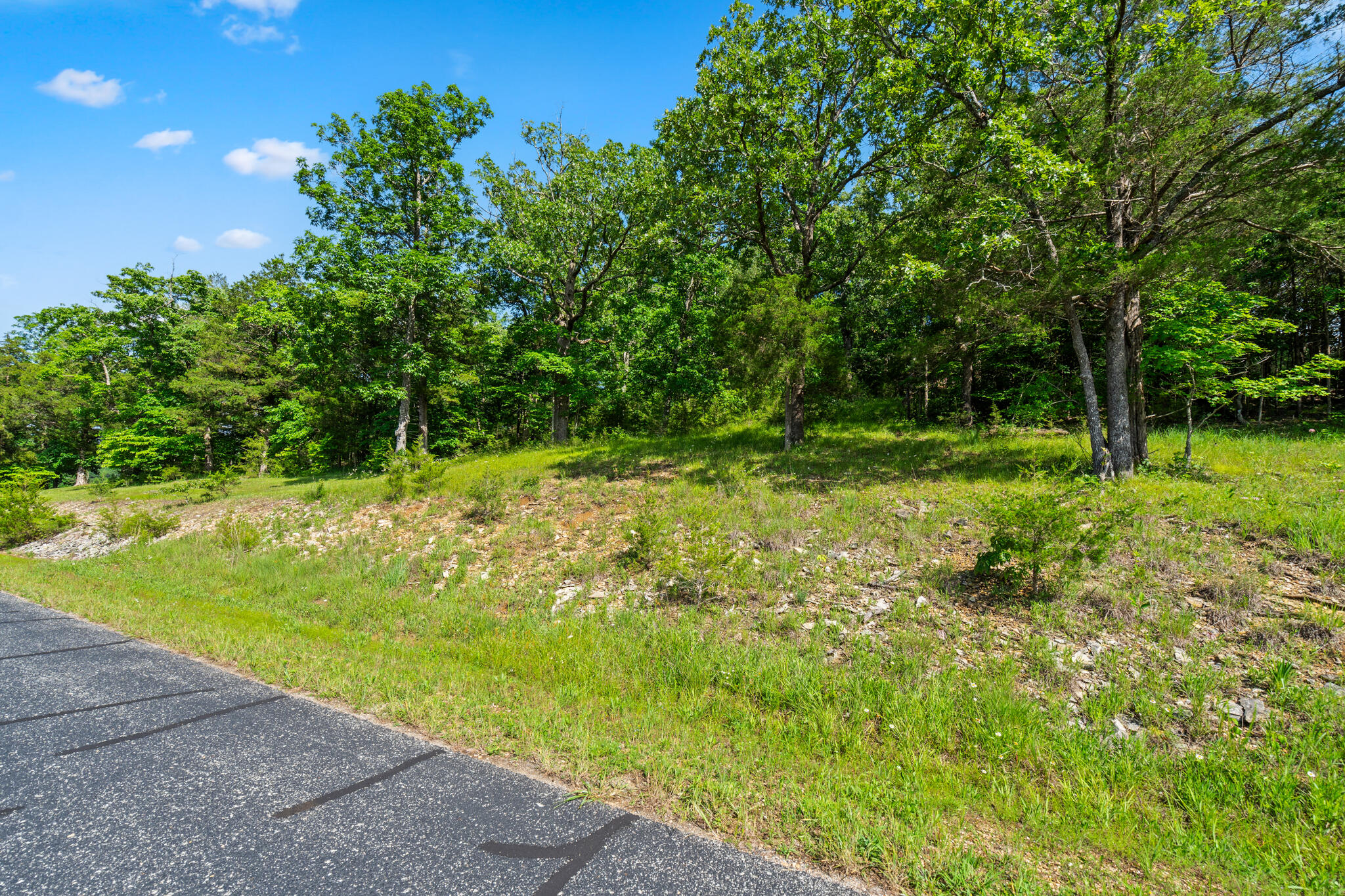 Tbd Cedar Bluff Lot 91a Property Photo 1