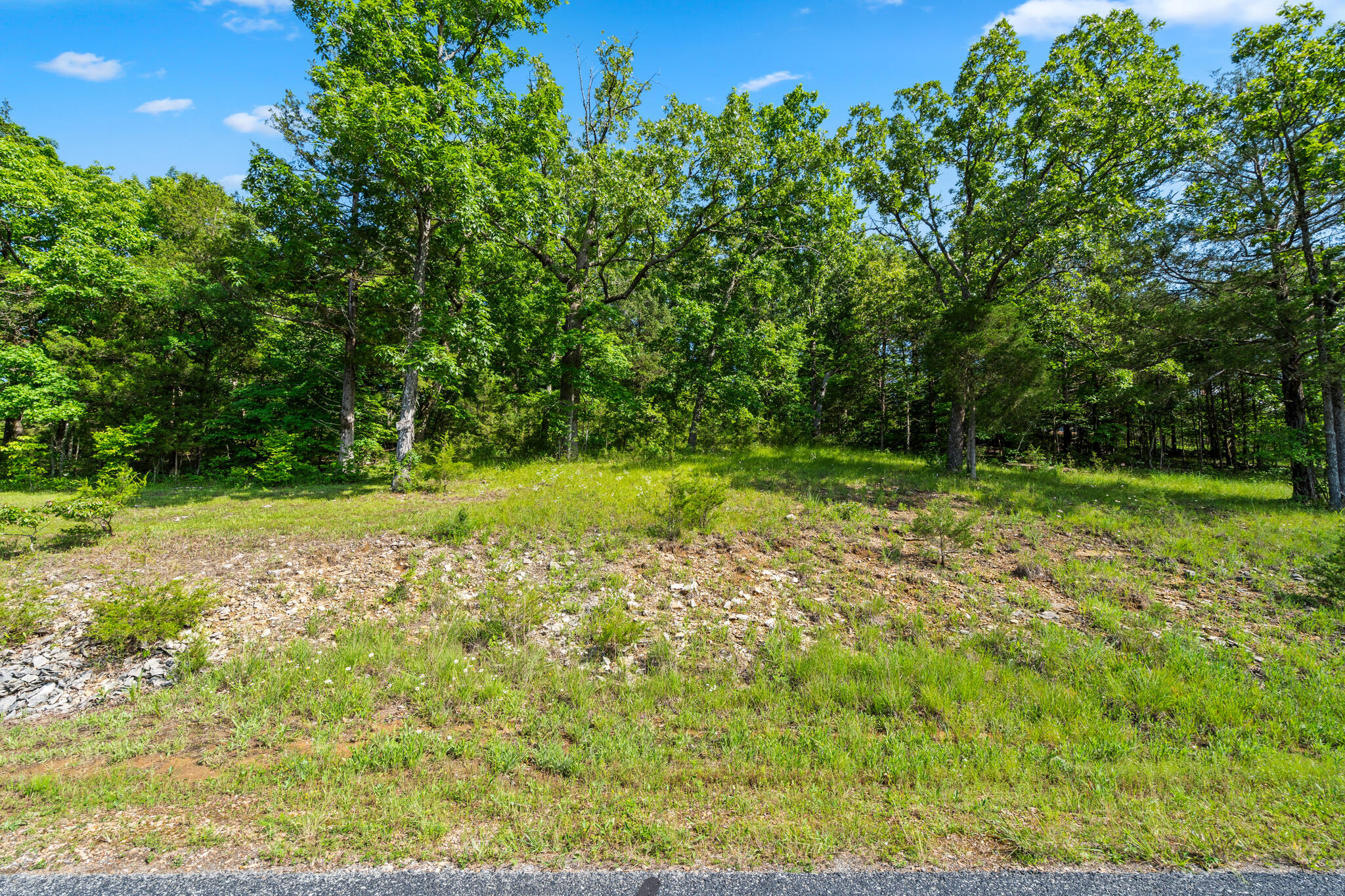 Tbd Cedar Bluff Lot 91a Property Photo 2