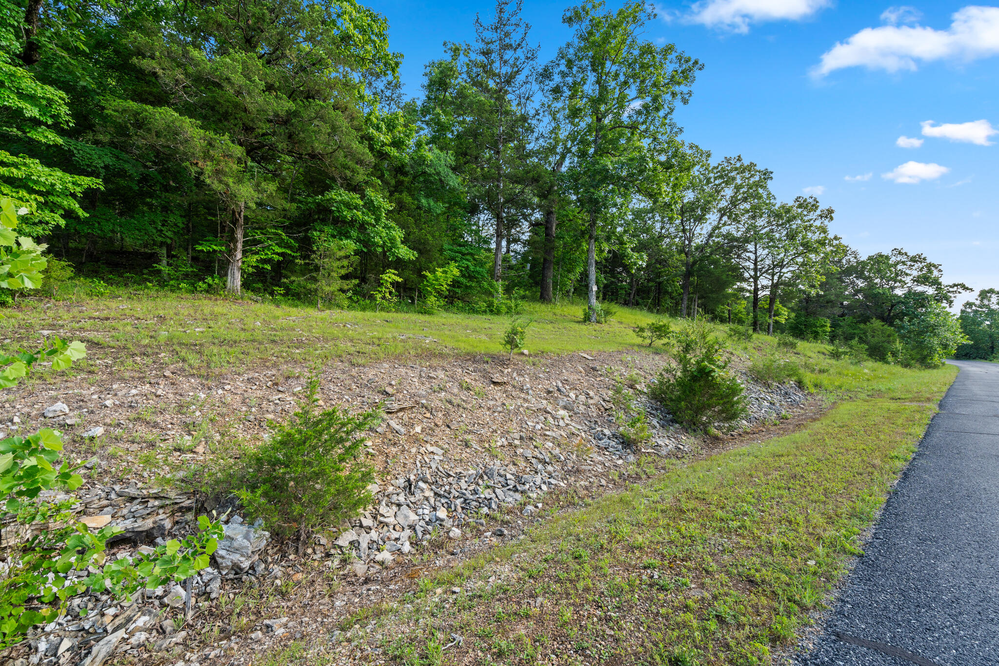 Tbd Cedar Bluff Lot 91a Property Photo 3
