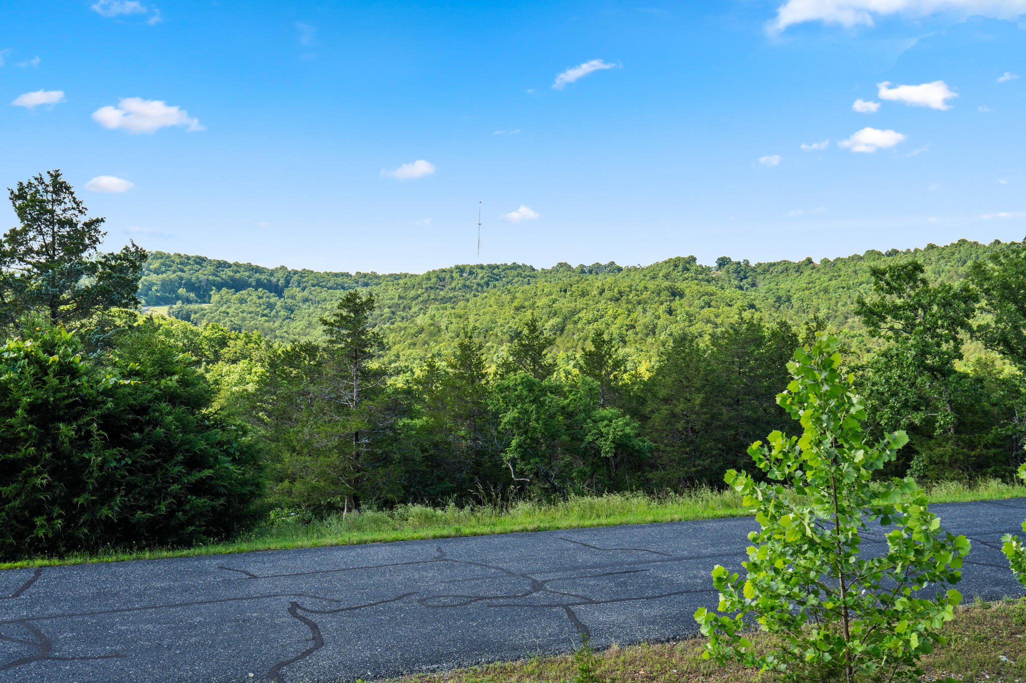 Tbd Cedar Bluff Lot 91a Property Photo 4