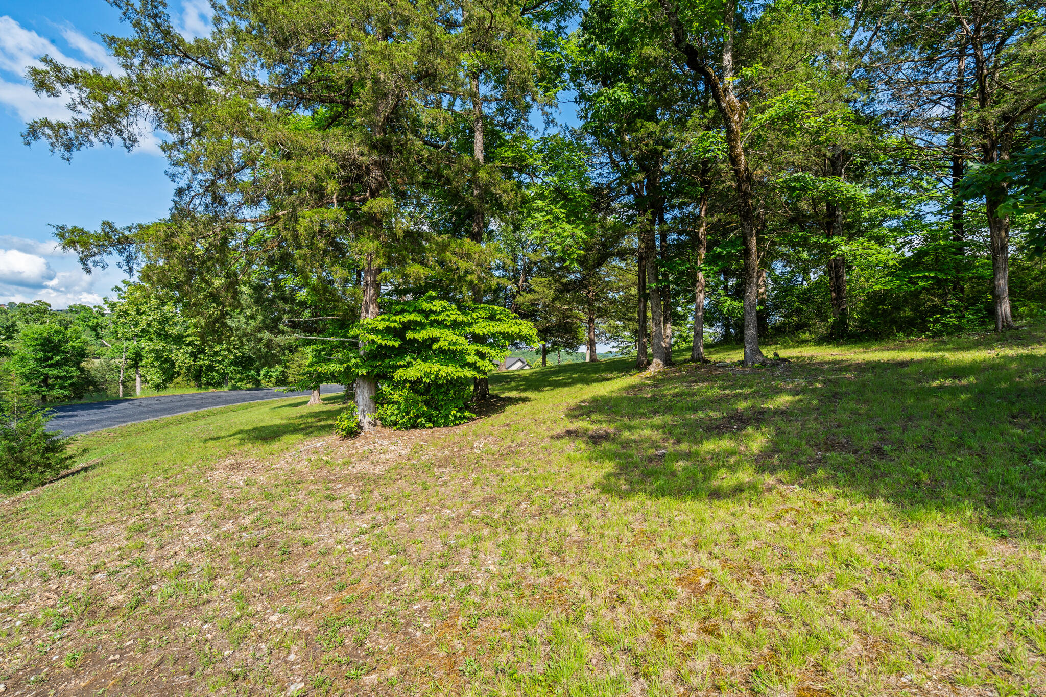 Tbd Cedar Bluff Lot 91a Property Photo 6