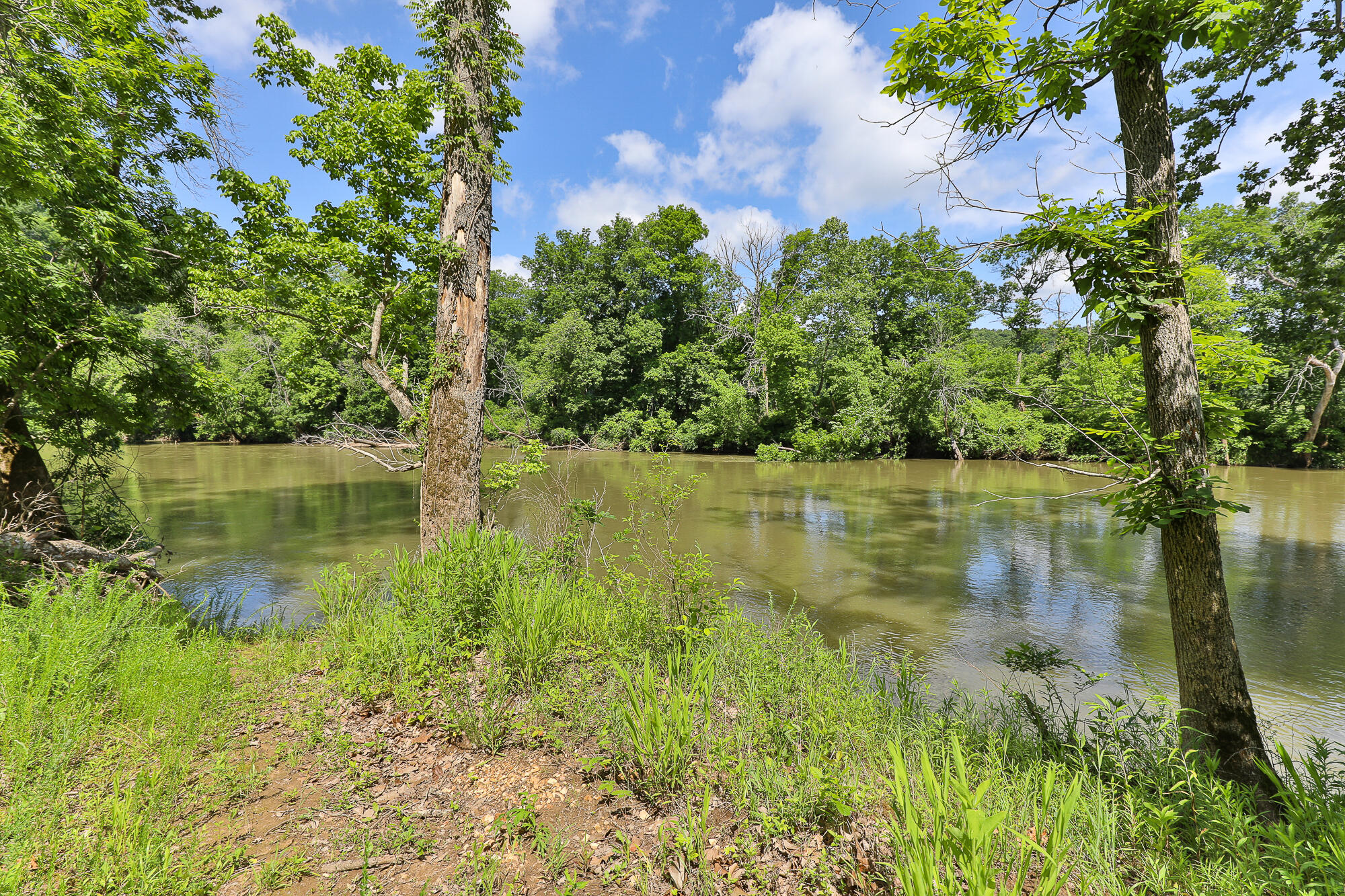811 Rainbow Valley Drive Property Photo 6